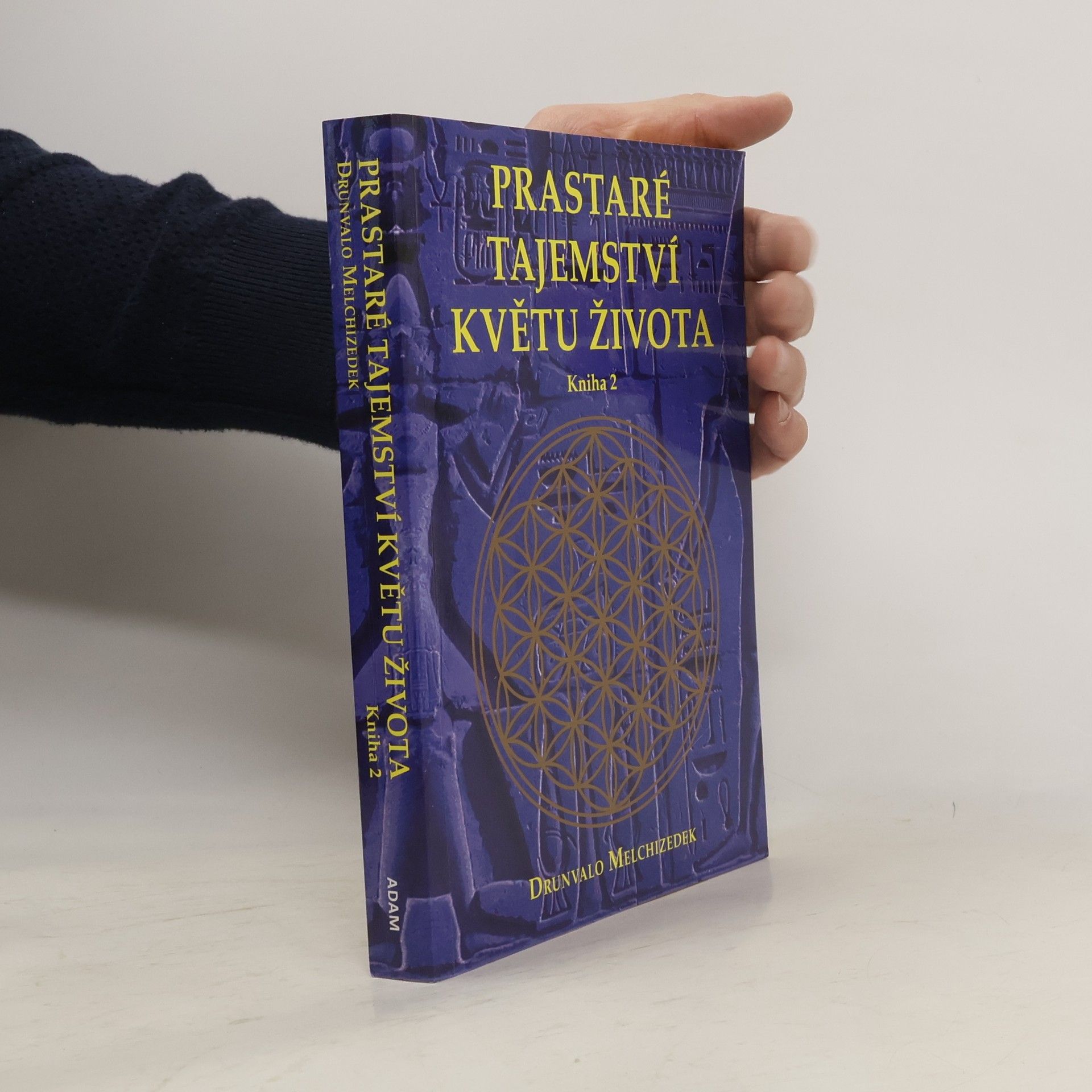 Petr Kobza Prastaré tajemství Květu života. 2. díl