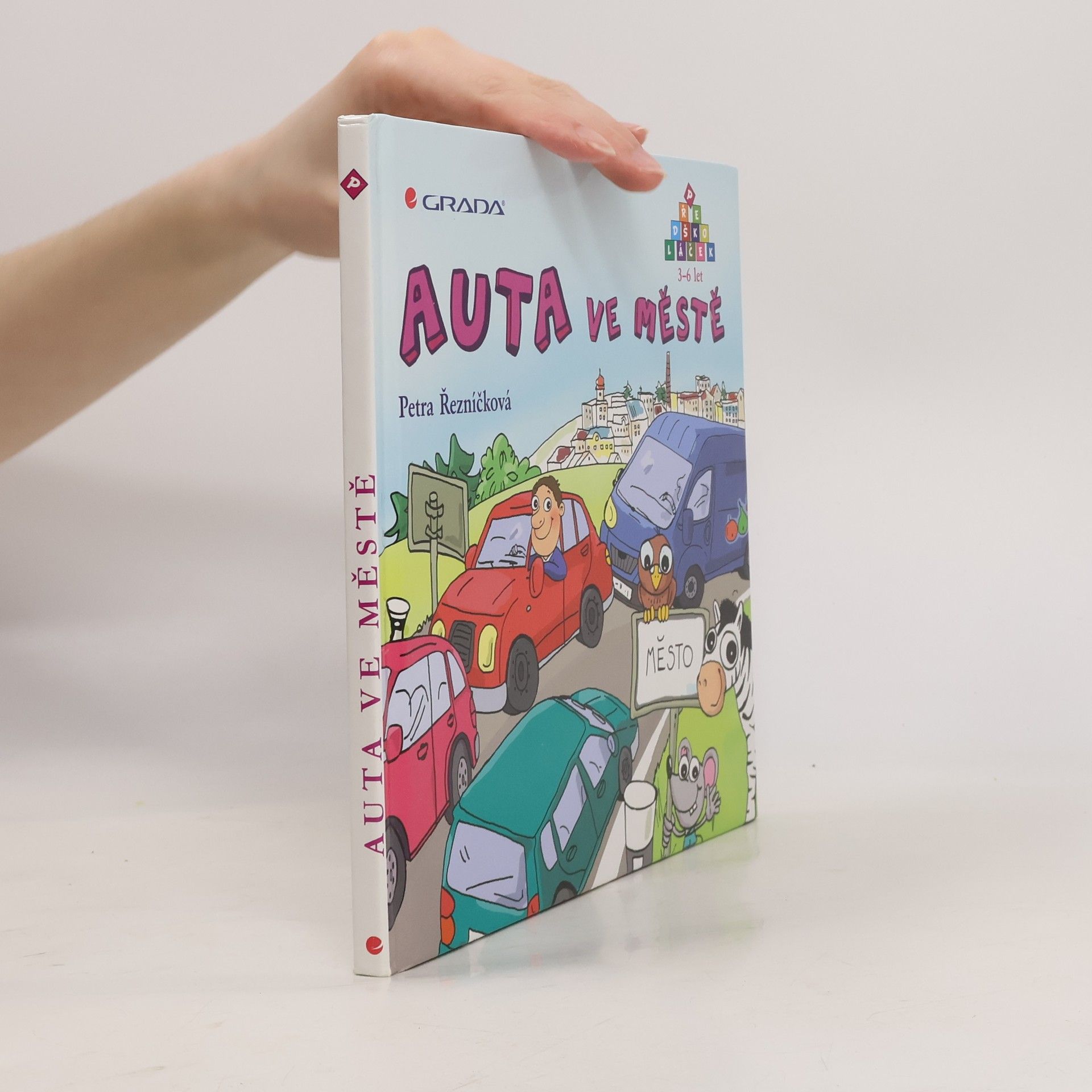 Petra Řezníčková Auta ve městě