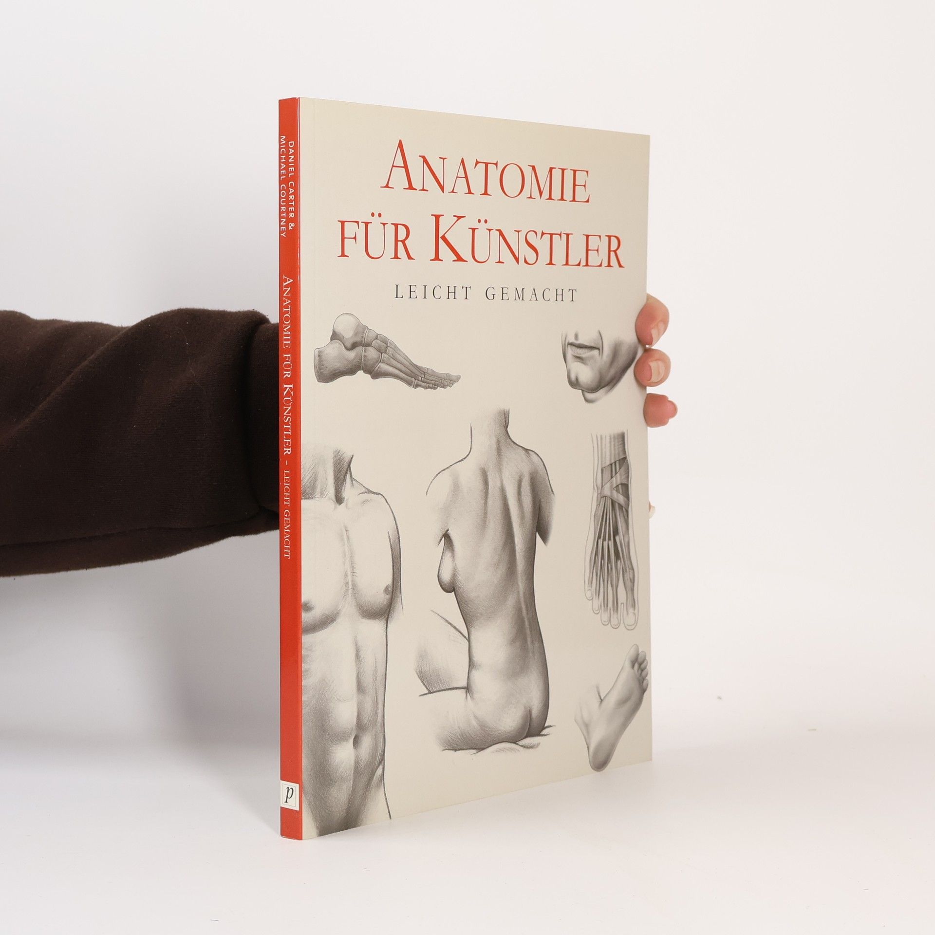Daniel Carter Anatomie für Künstler
