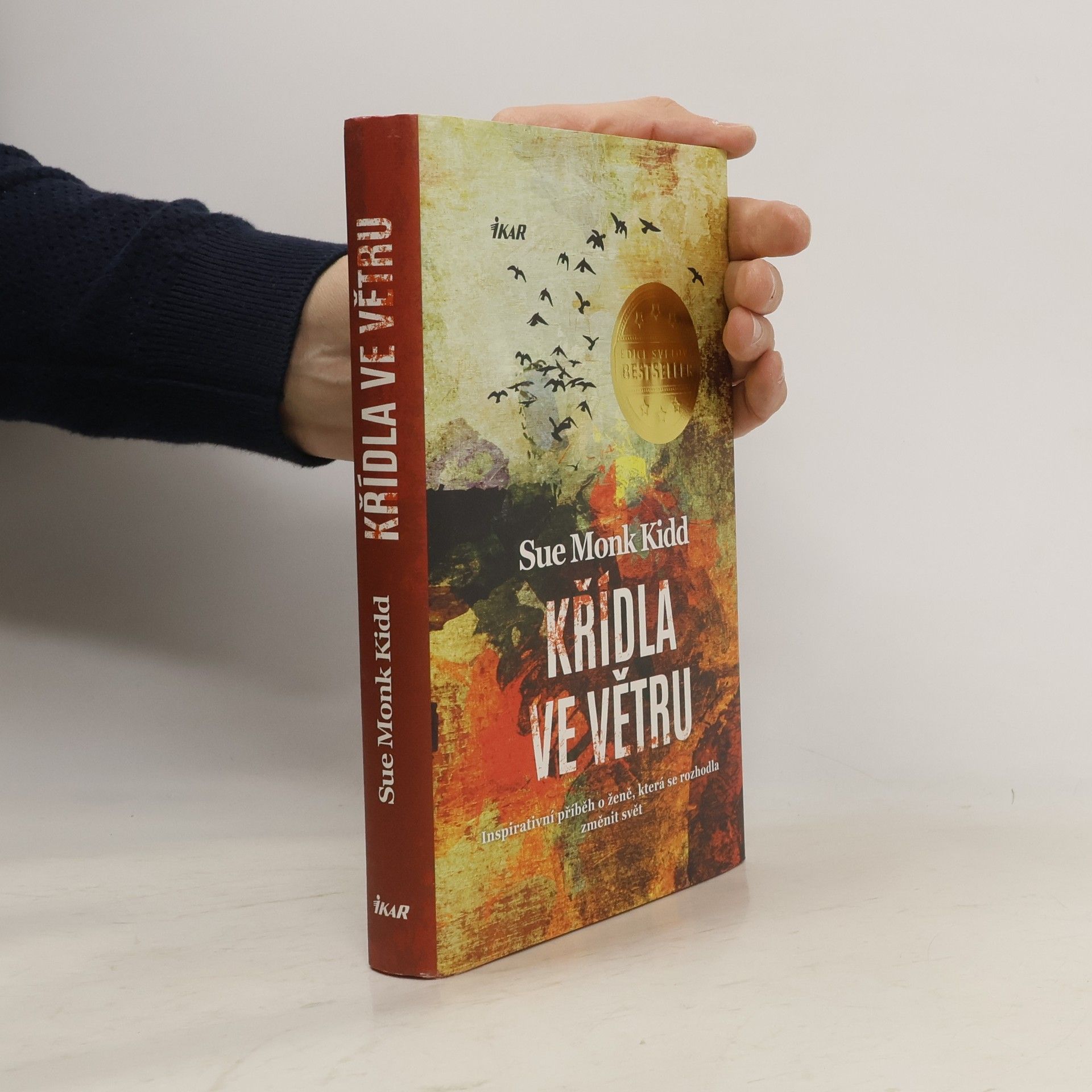 Sue Monk Kidd Křídla ve větru