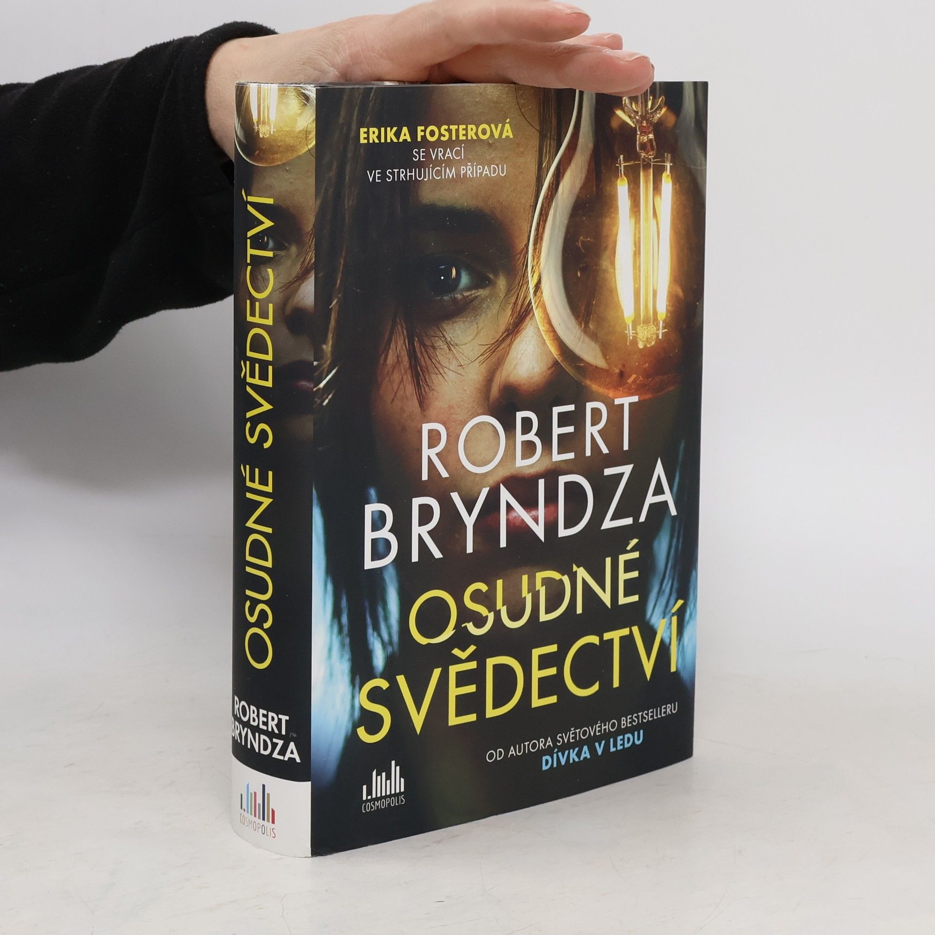 Robert Bryndza Osudné svědectví