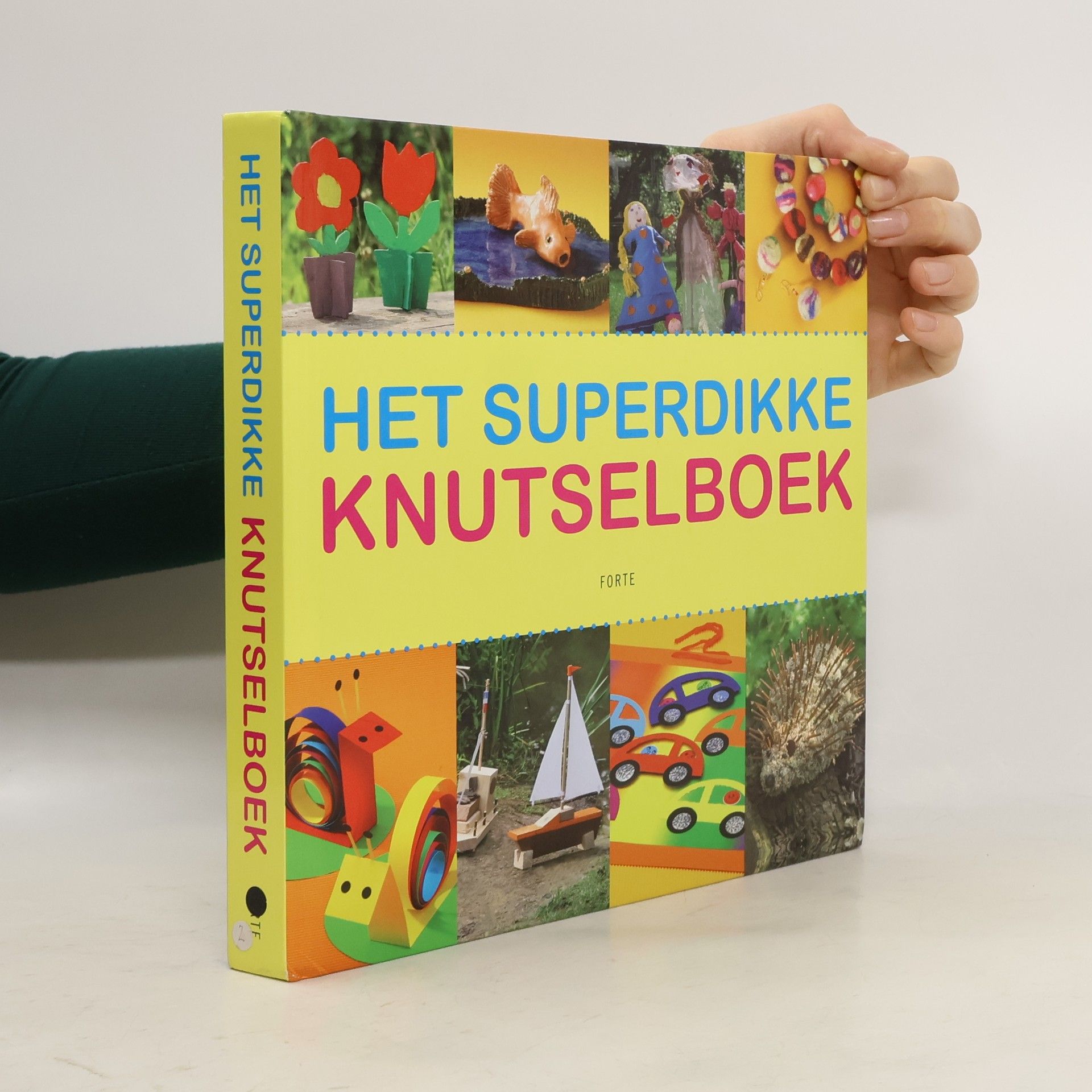 Beatrijs Hansma Het superdikke knutselboek