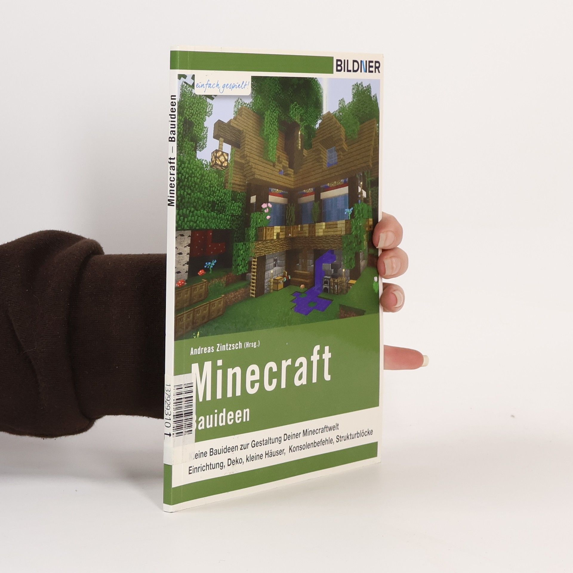 Andreas Zintzsch Minecraft - Bauideen