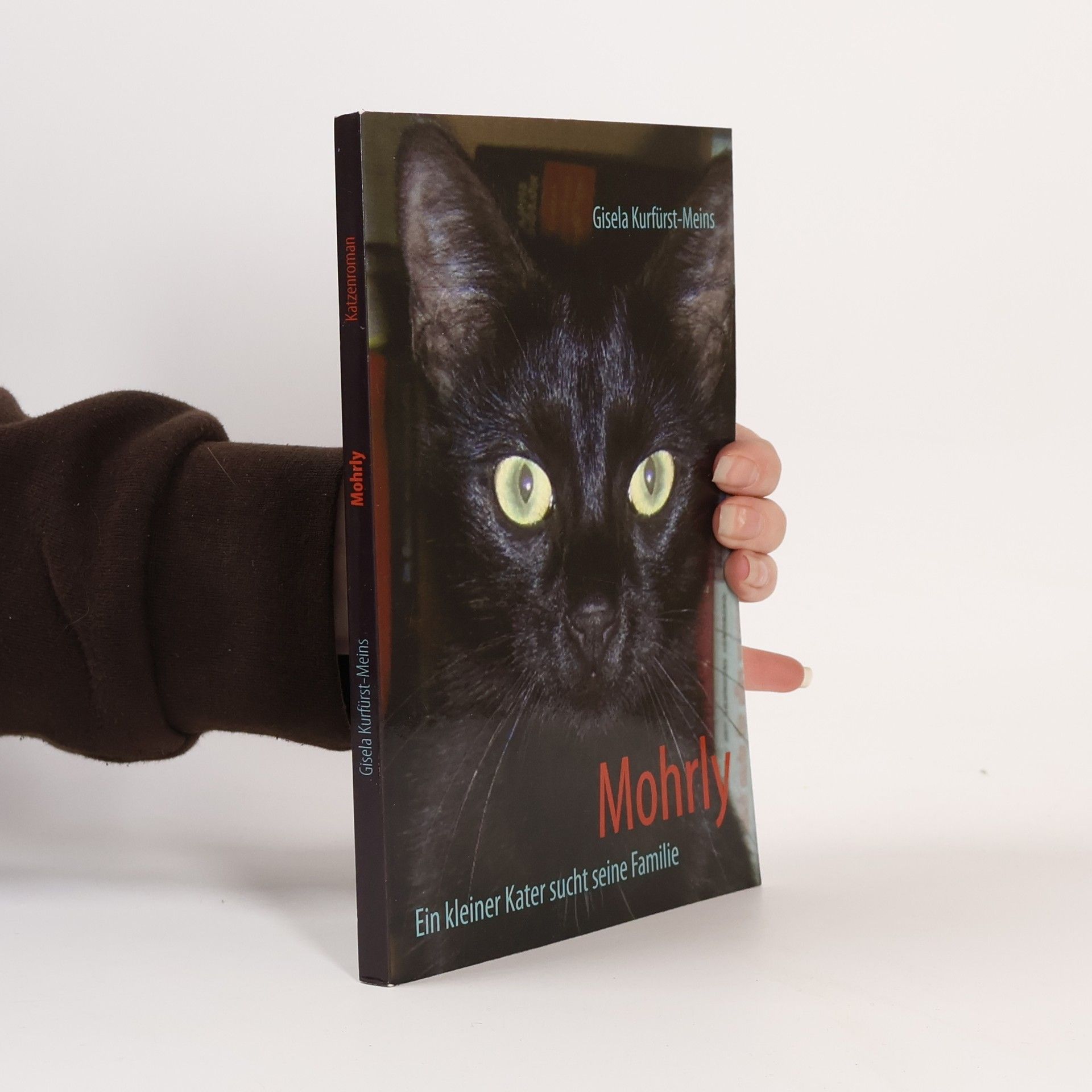 Gisela Kurfürst-Meins Mohrly. Ein kleiner Kater sucht seine Familie - Katzenroman