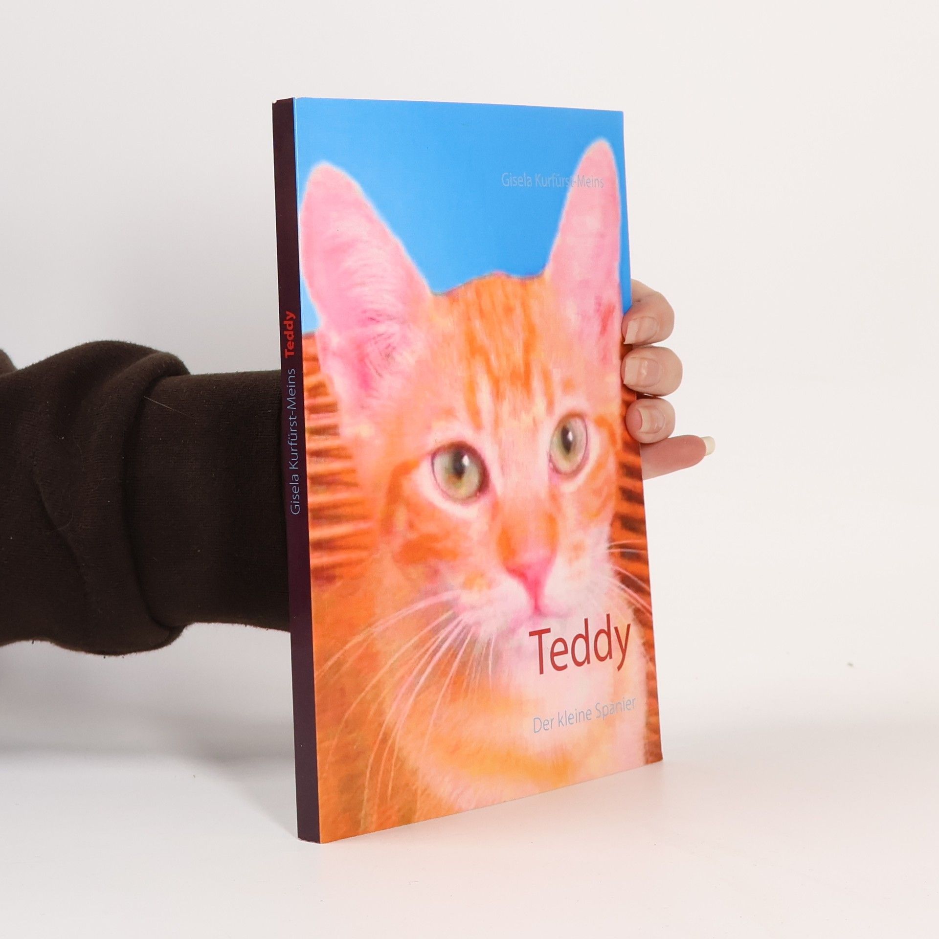 Gisela Kurfürst-Meins Teddy