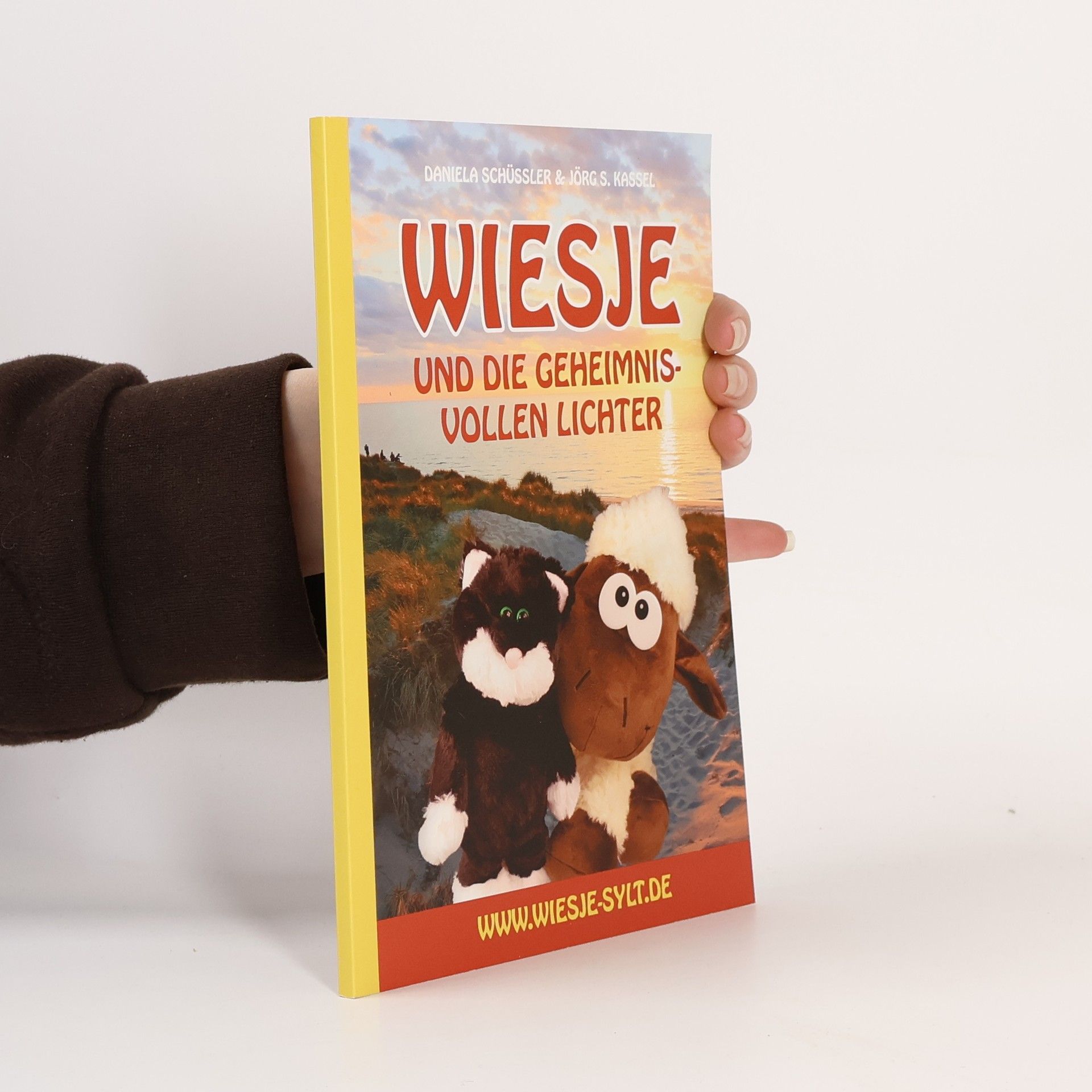 Wiesje und die Geheimnisvollen Lichter