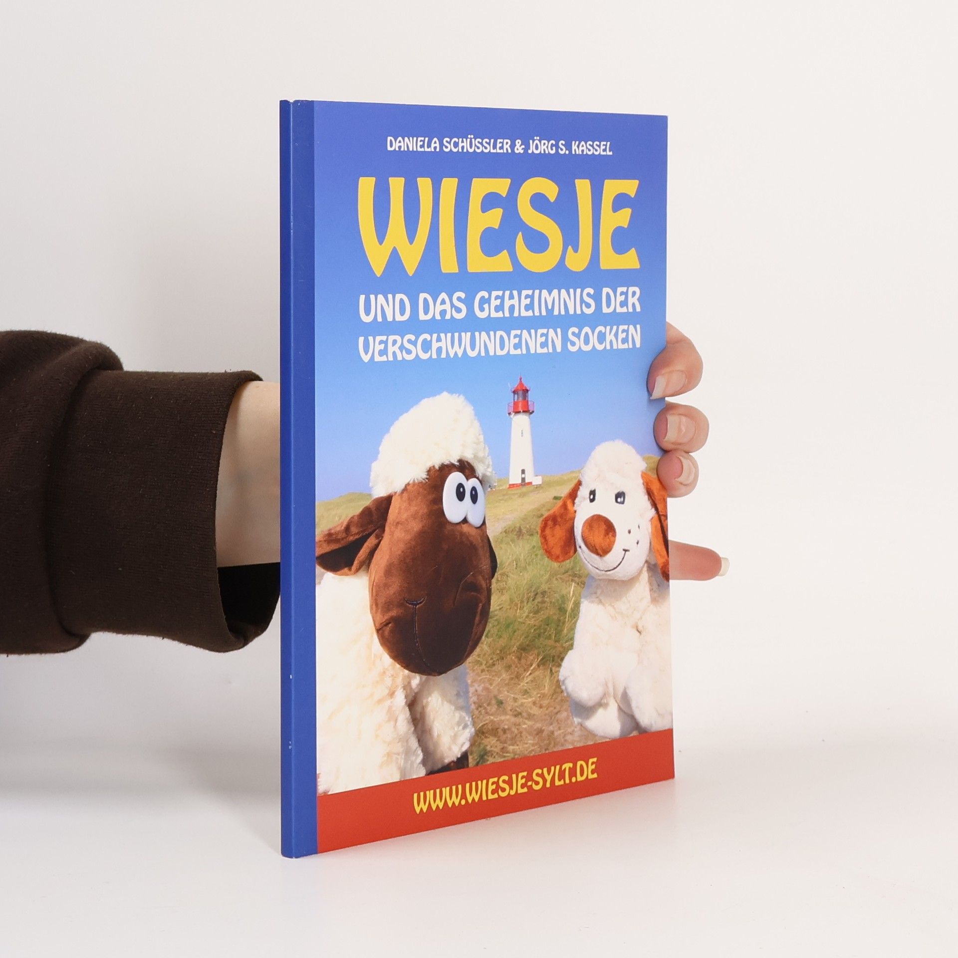Wiesje und das Geheimnis der verschwundenen Socken