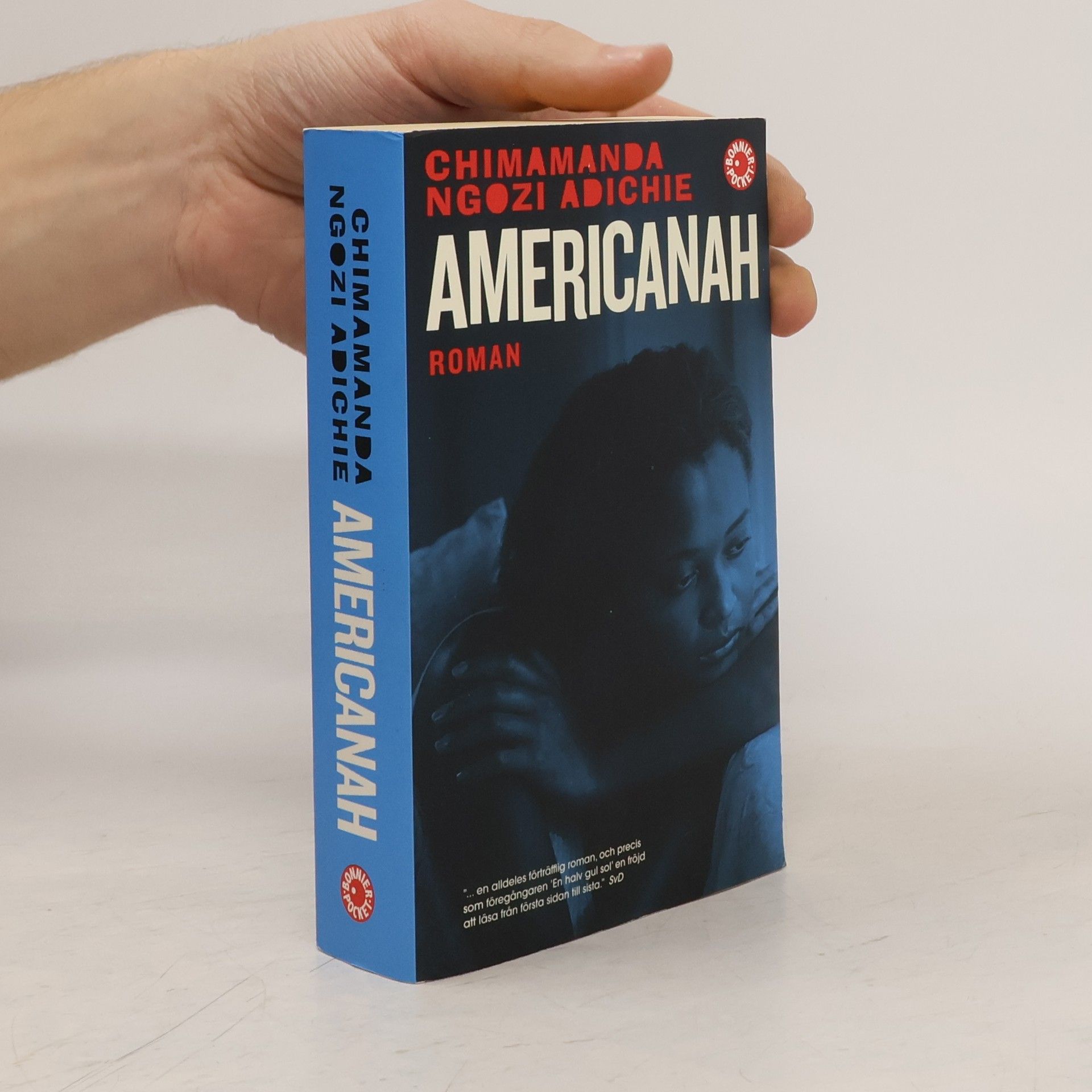 Chimamanda Ngozi Adichie Americanah