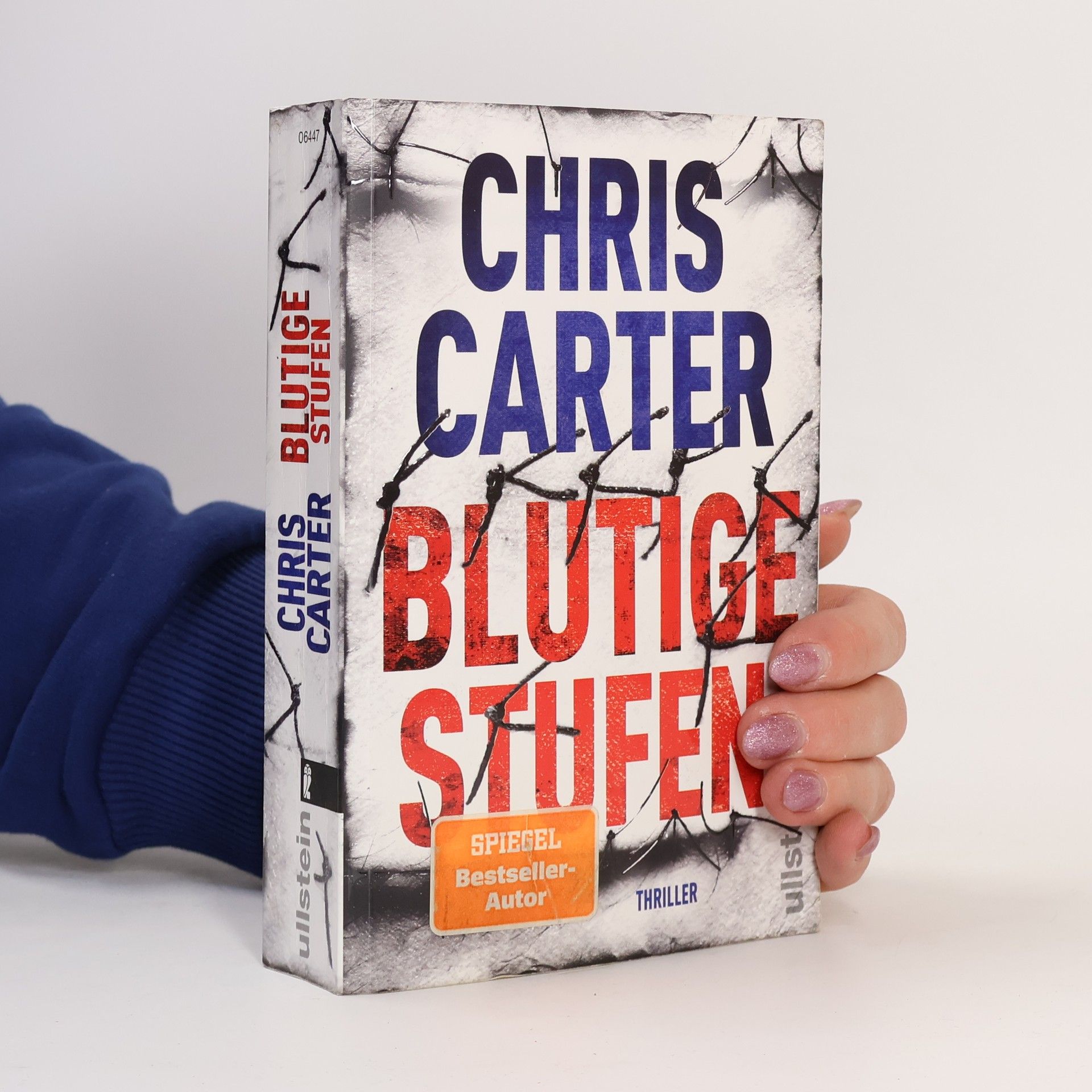 Chris Carter Blutige Stufen