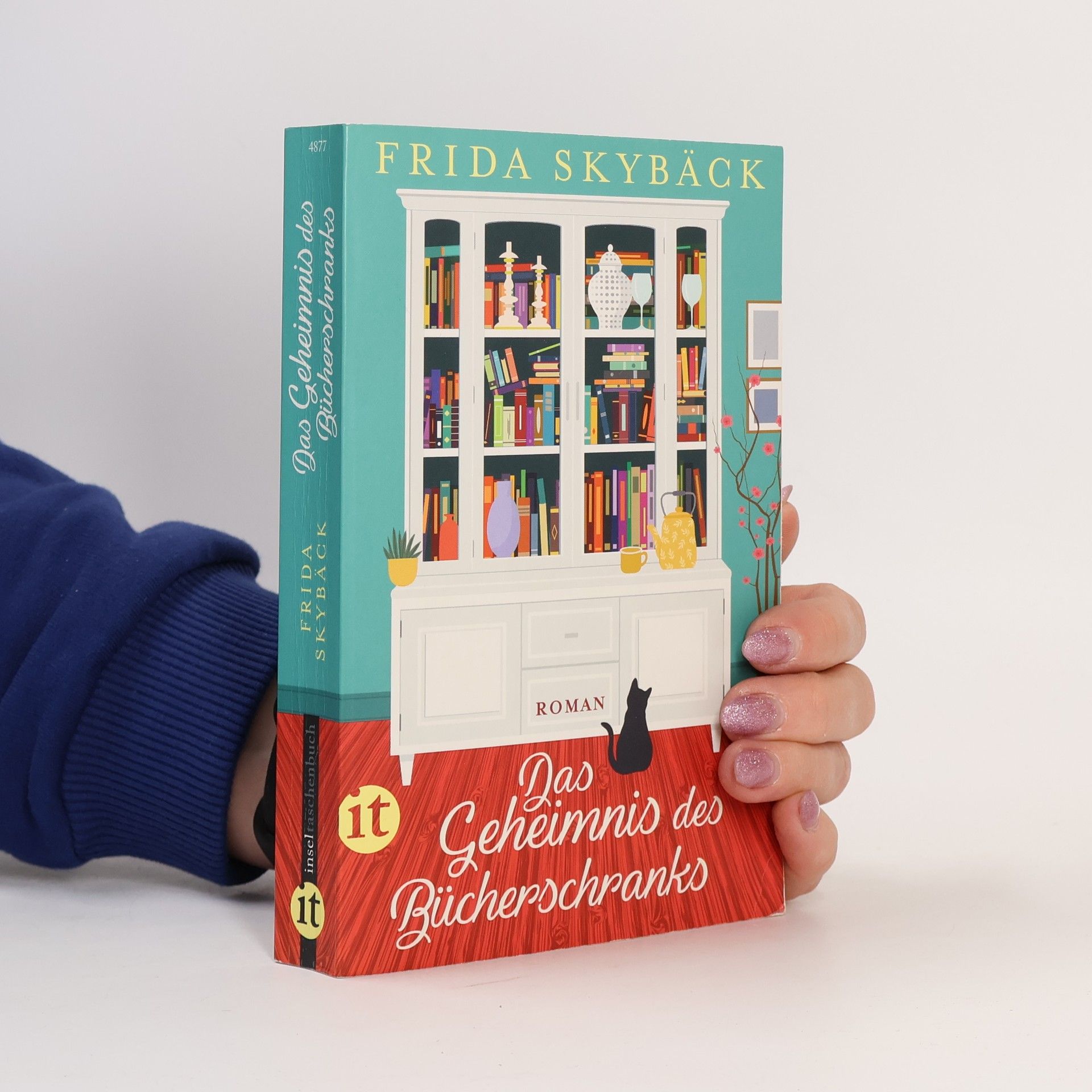 Frida Skybäck Das Geheimnis des Bücherschranks