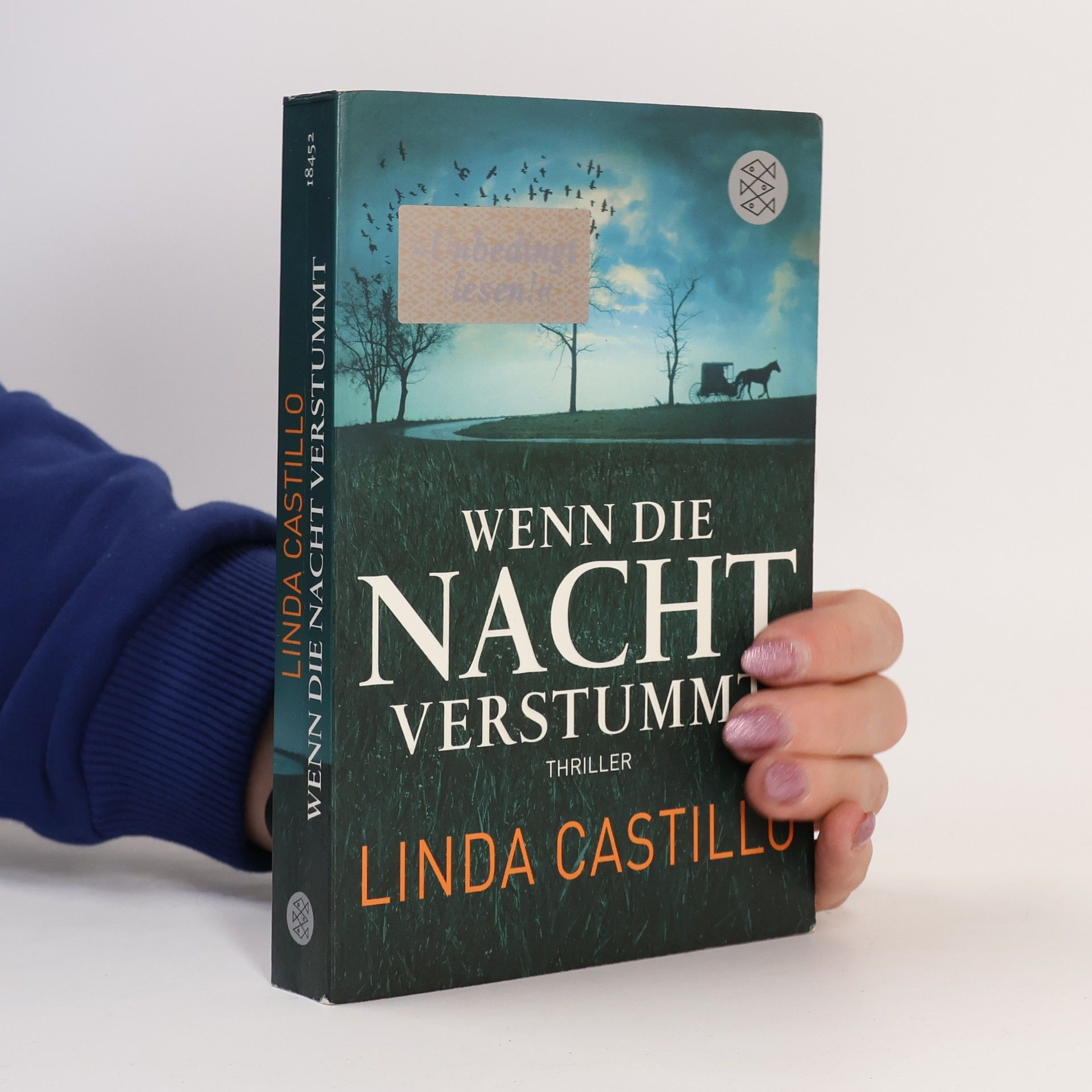 Linda Castillo Wenn die Nacht verstummt