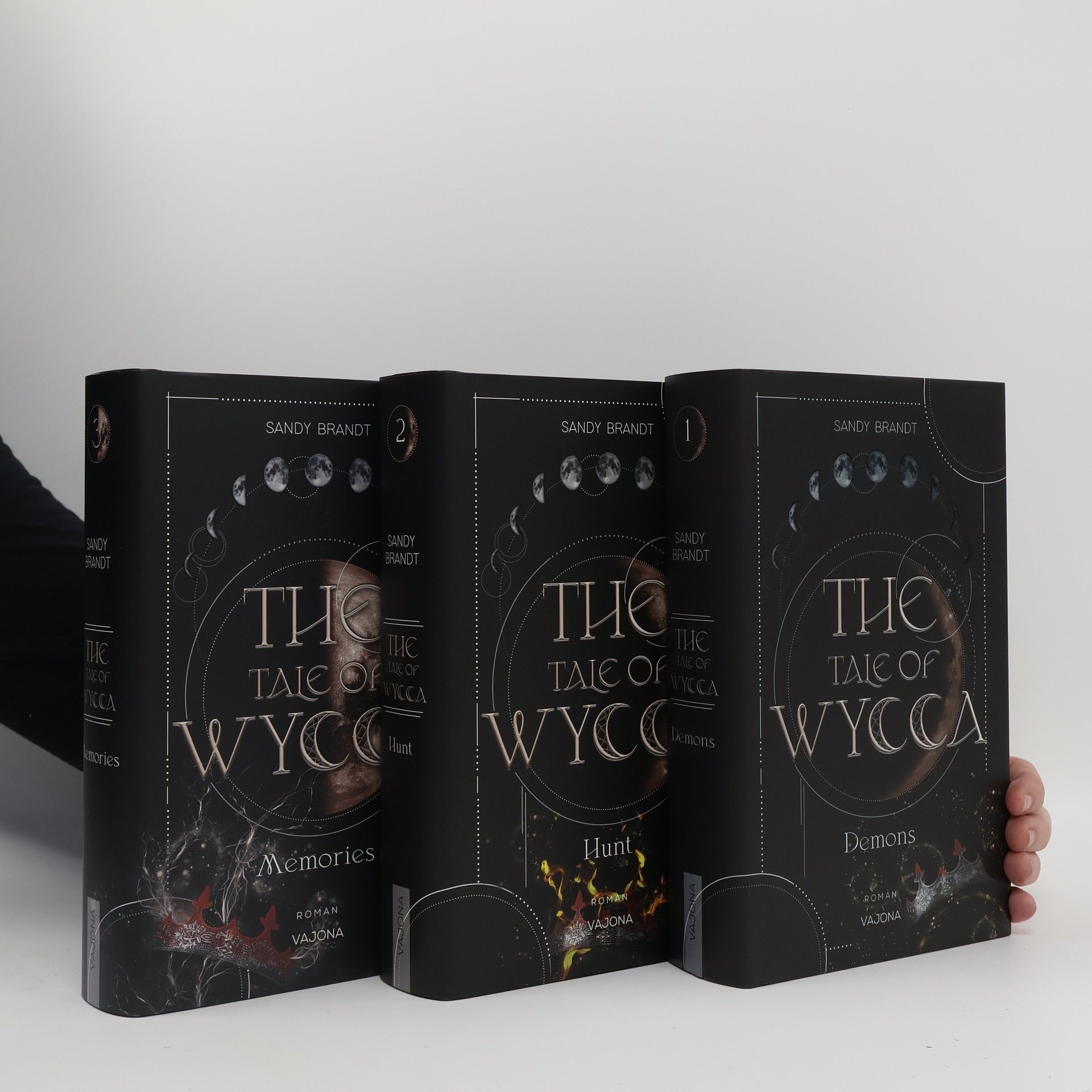 Sandy Brandt The Tale of Wycca 1-3