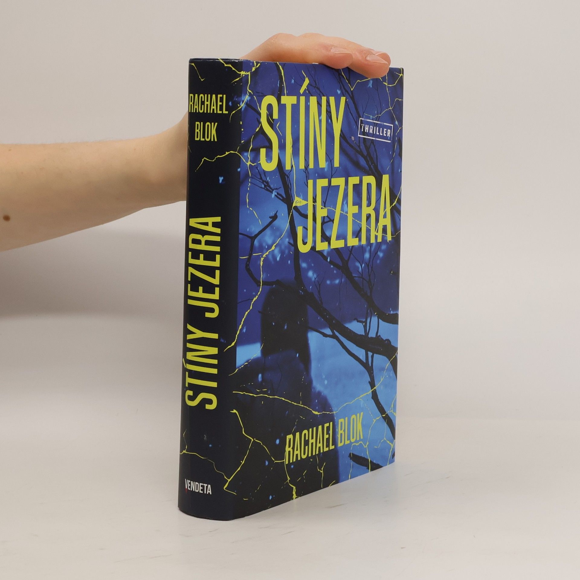 Rachael Blok Stíny jezera