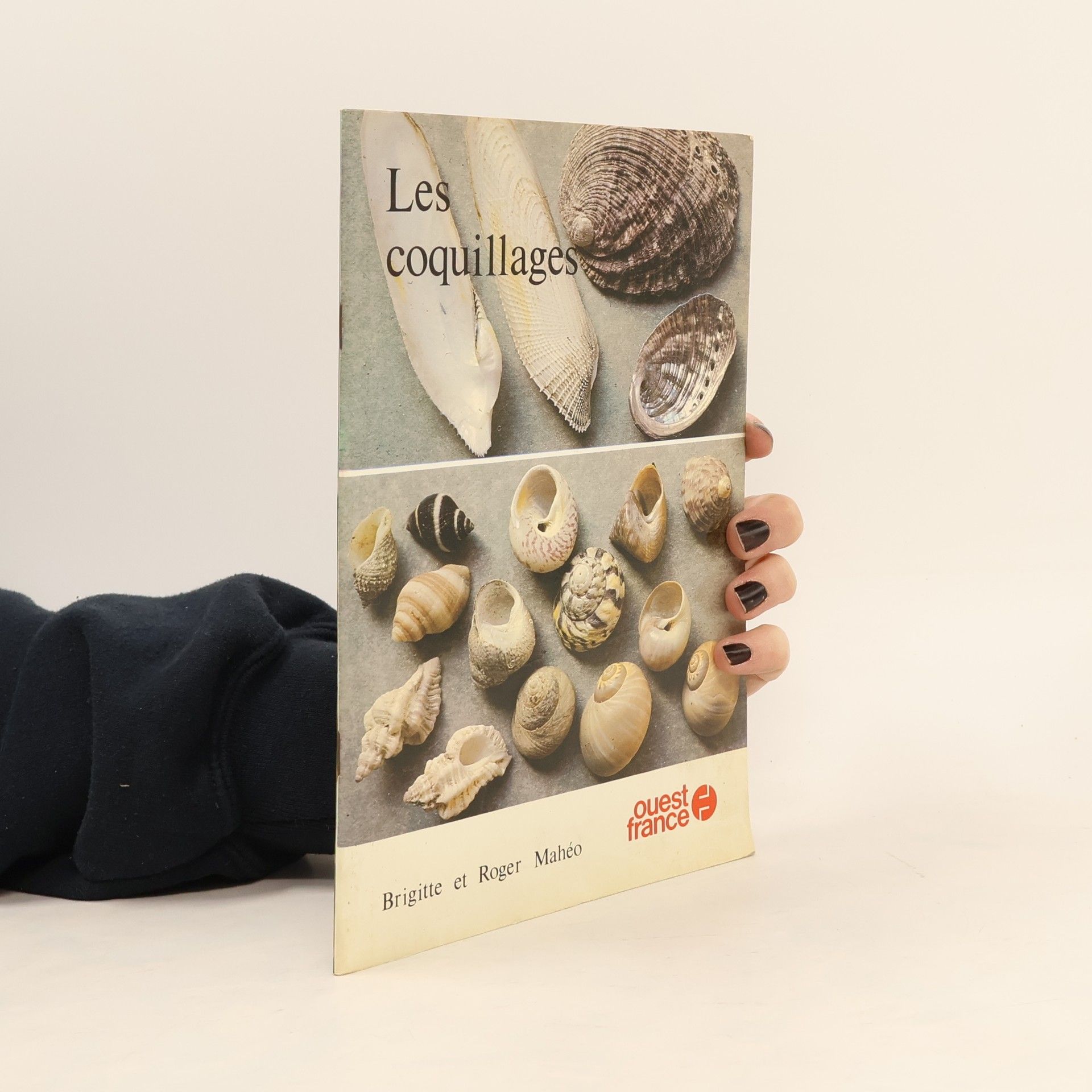 Brigitte Mahéo Les coquillages