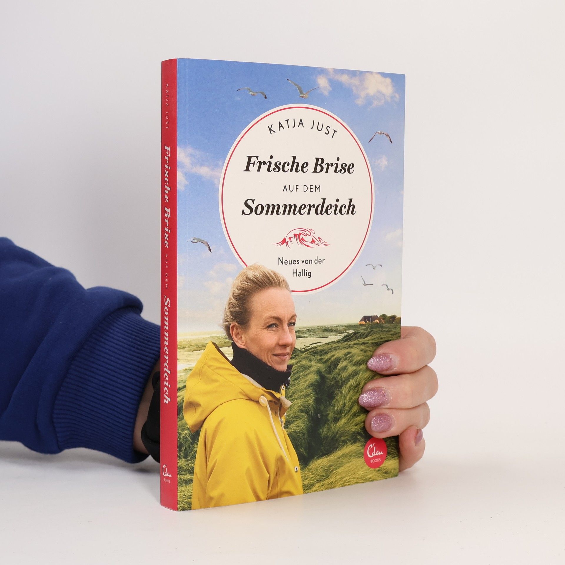 Frische Brise auf dem Sommerdeich