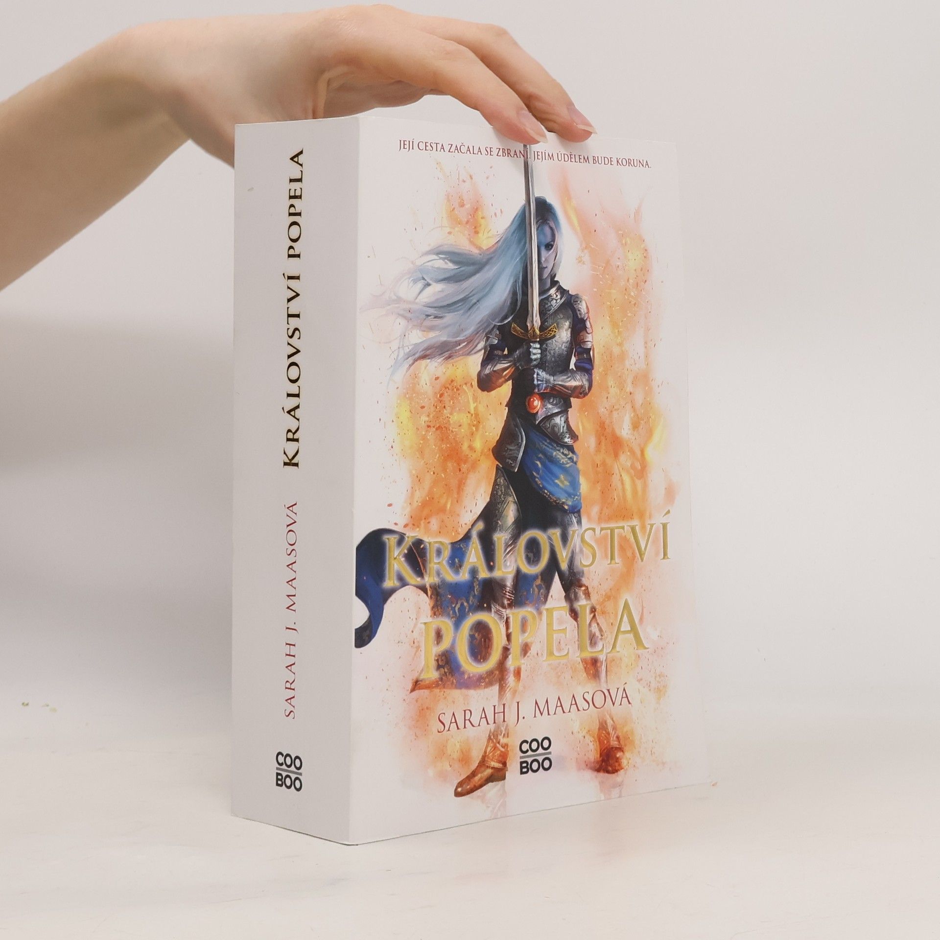 Sarah J. Maasová Království popela