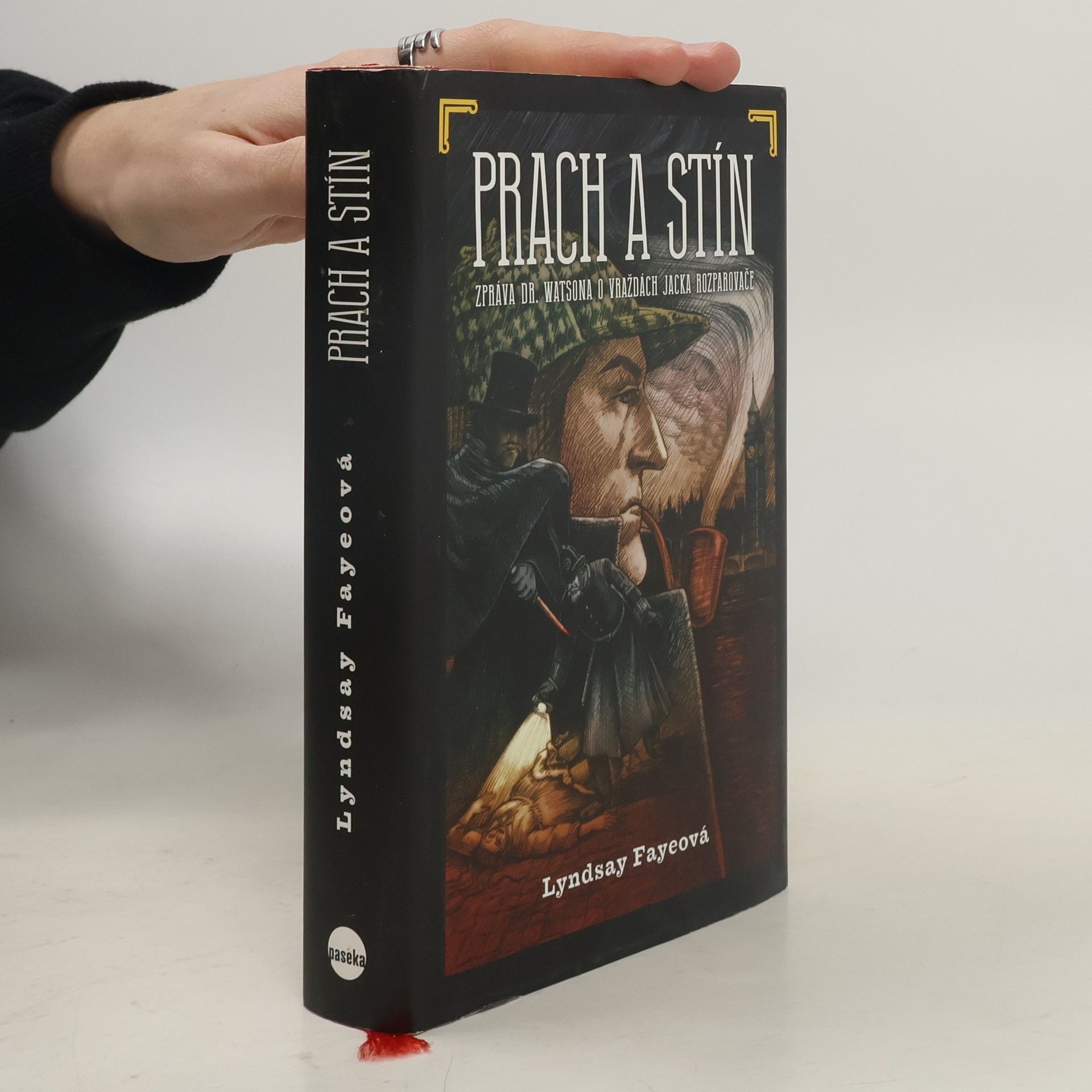 Lyndsay Faye Prach a stín