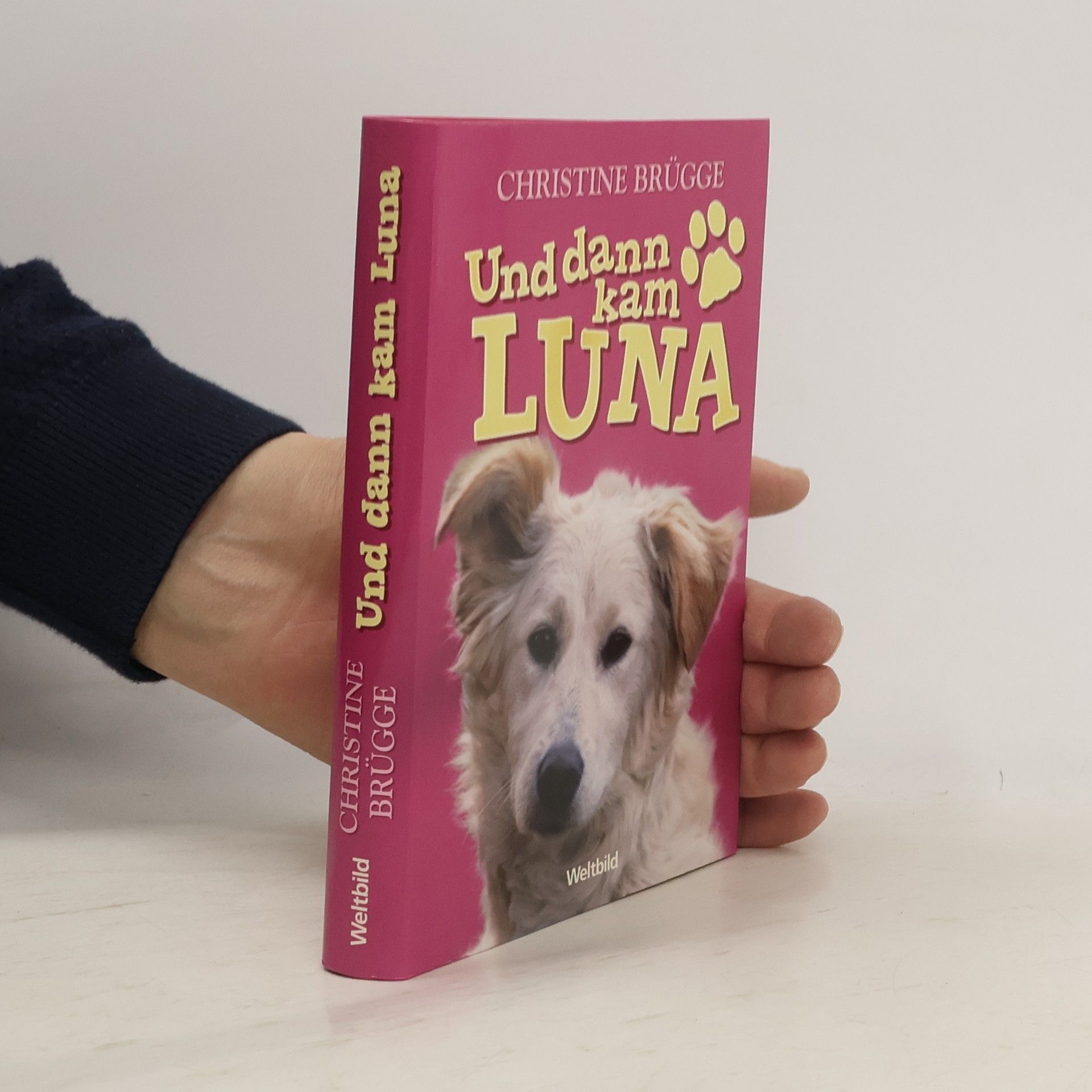 Christine Brügge Und dann kam Luna