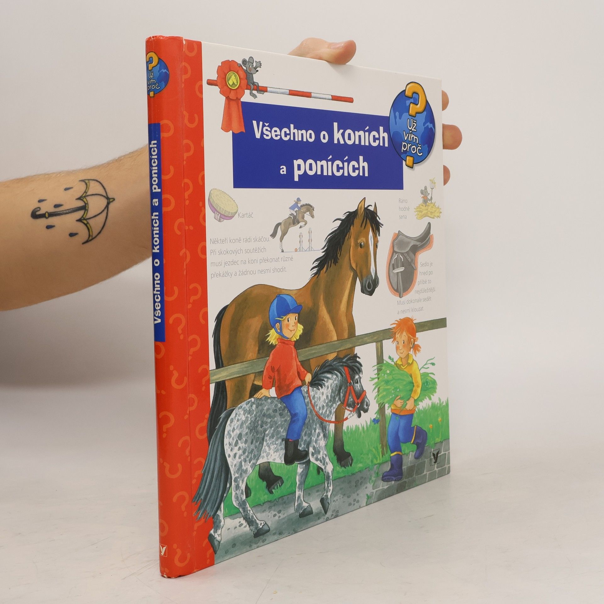 Andrea Erne Všechno o koních a ponících