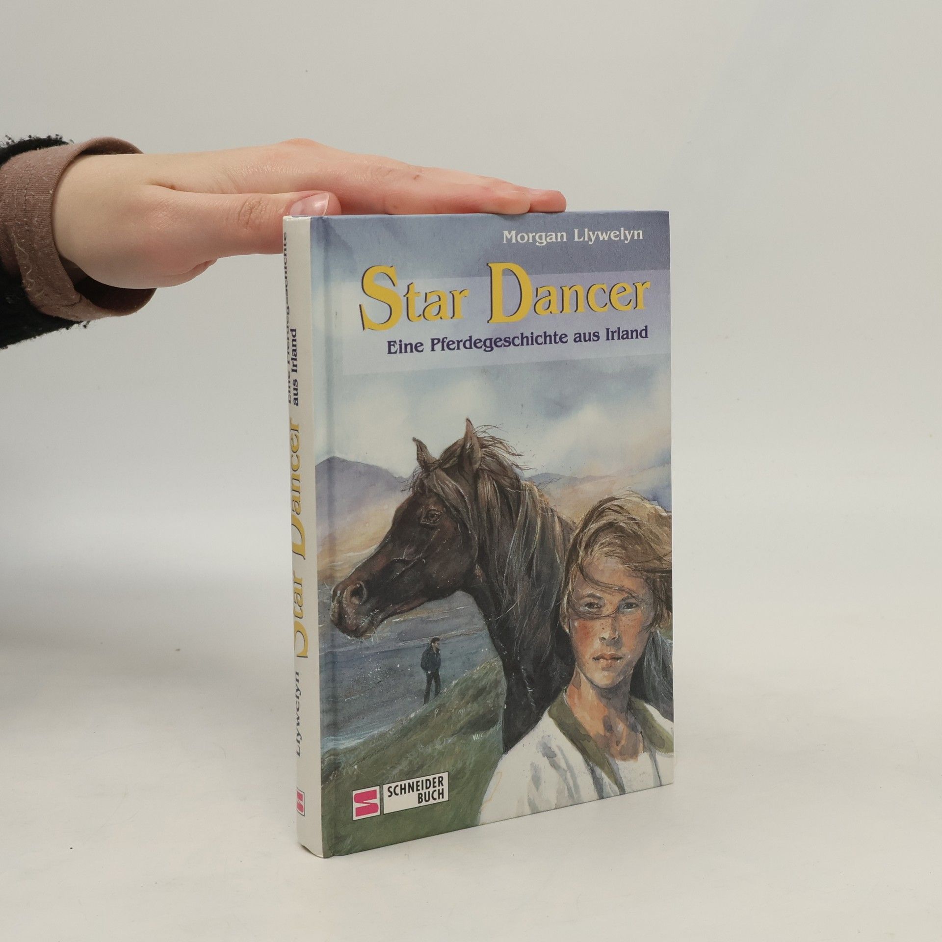 Morgan Llywelyn Star Dancer
