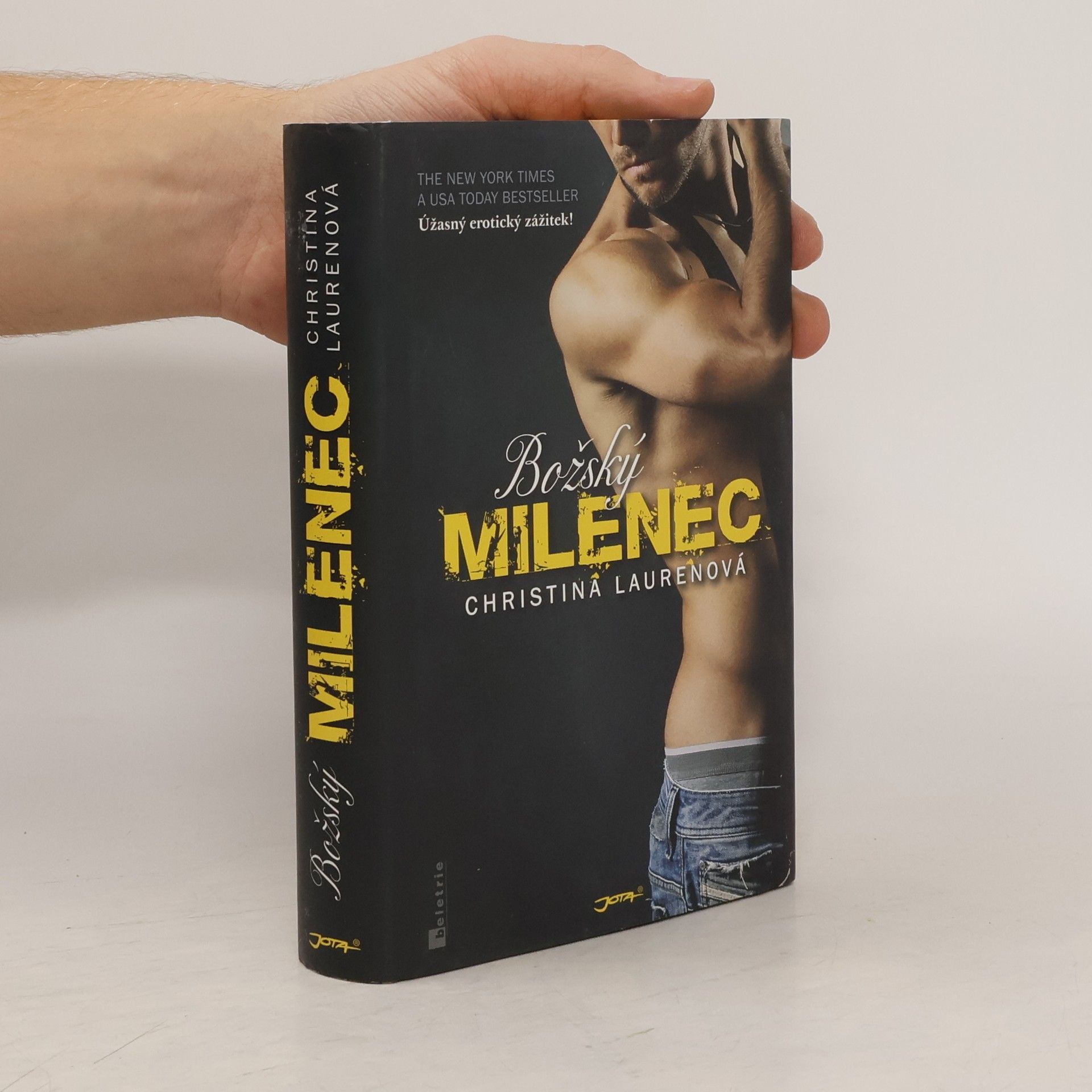 Christina Laurenová Božský milenec