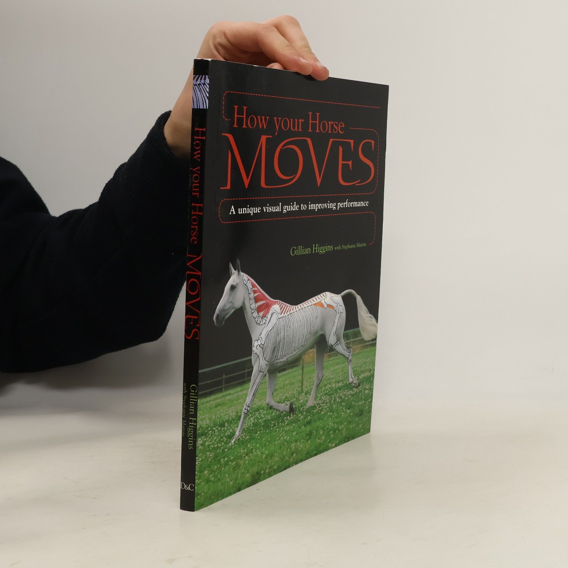 Gillian Higgins How Your Horse Moves