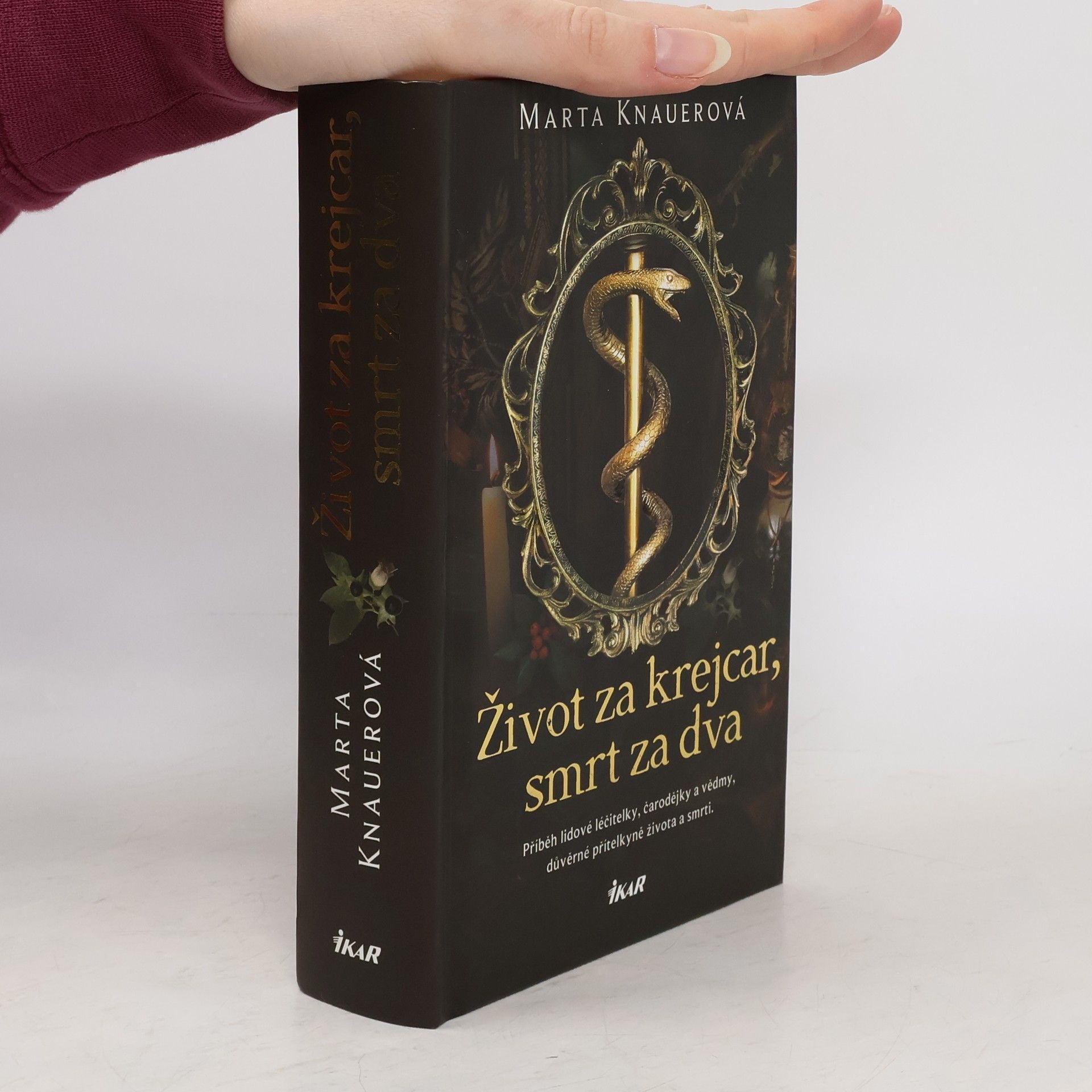 Marta Knauerová Život za krejcar, smrt za dva