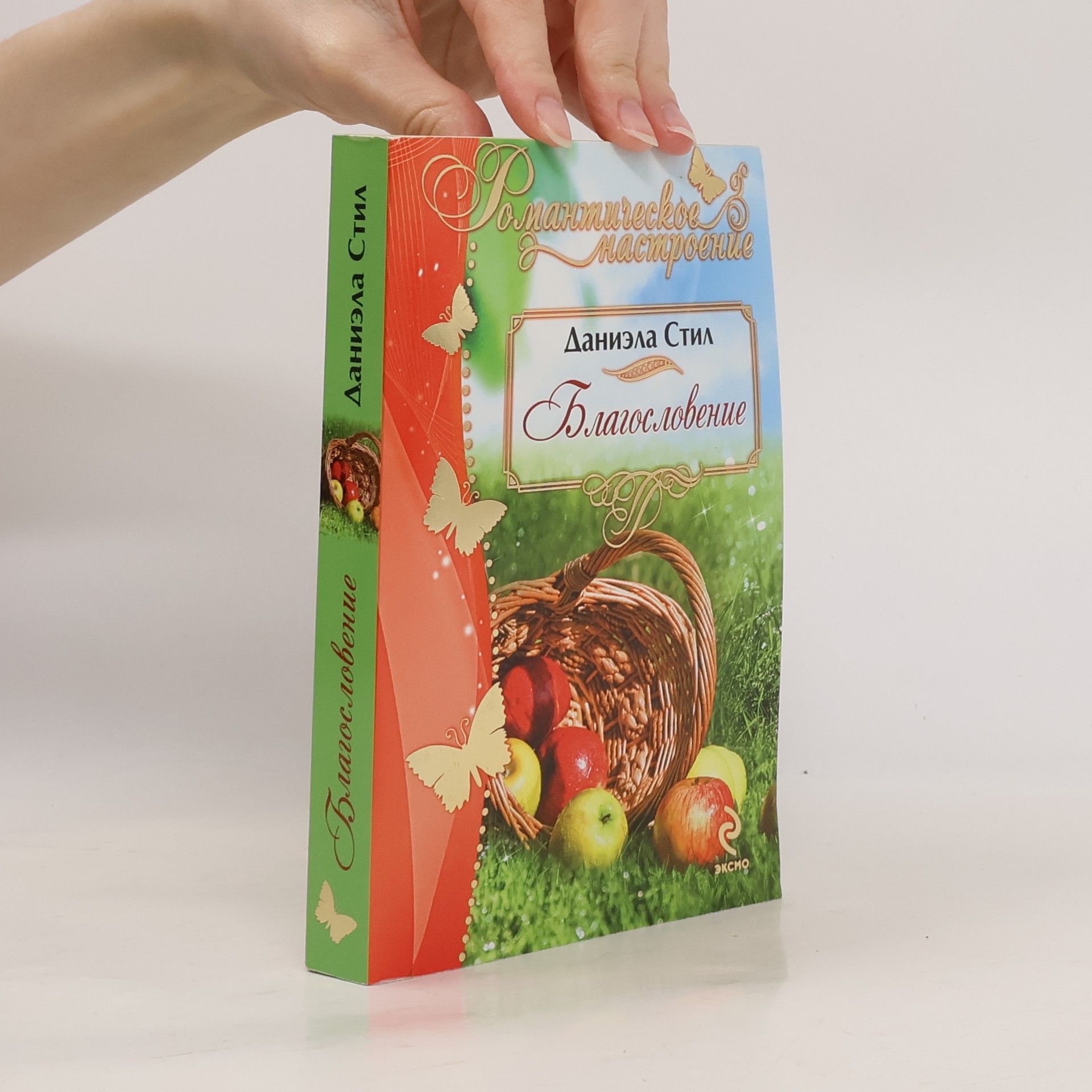 Danielle Steel Благословение