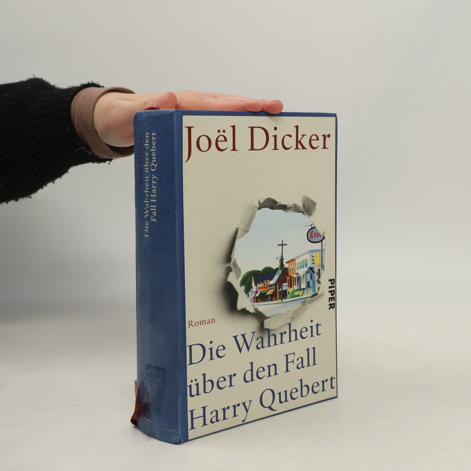 Joël Dicker Die Wahrheit über den Fall Harry Quebert