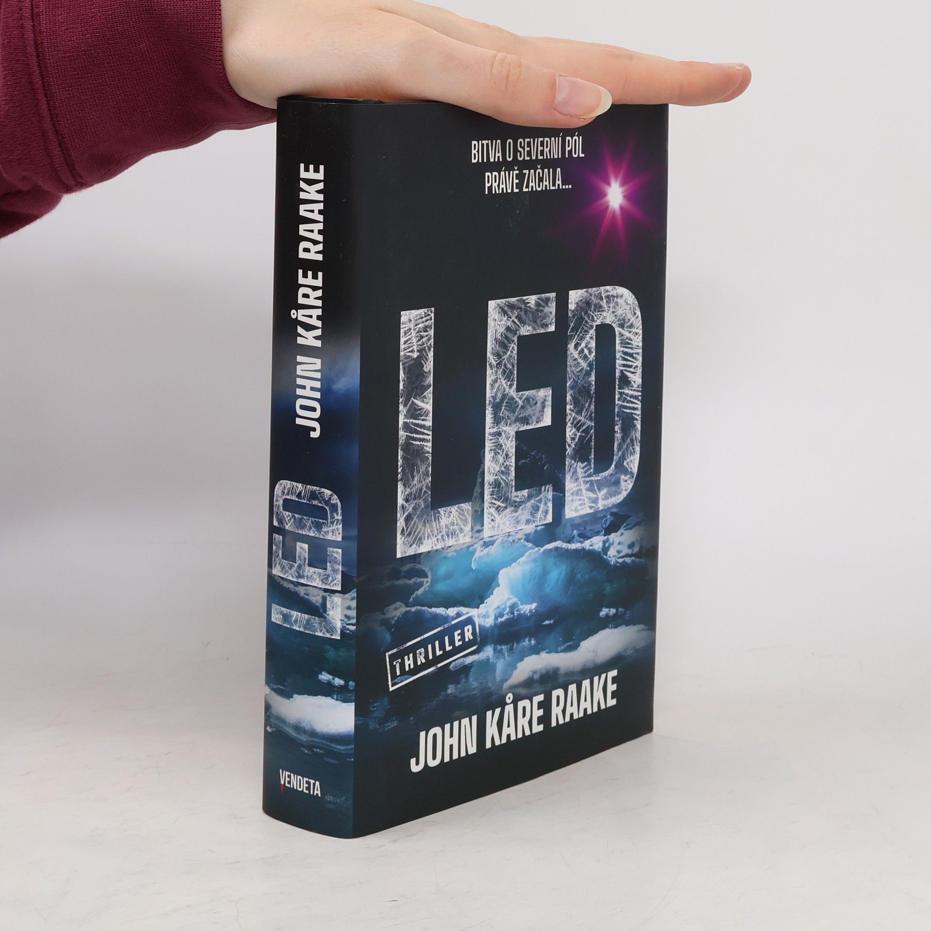 John Kåre Raake Led