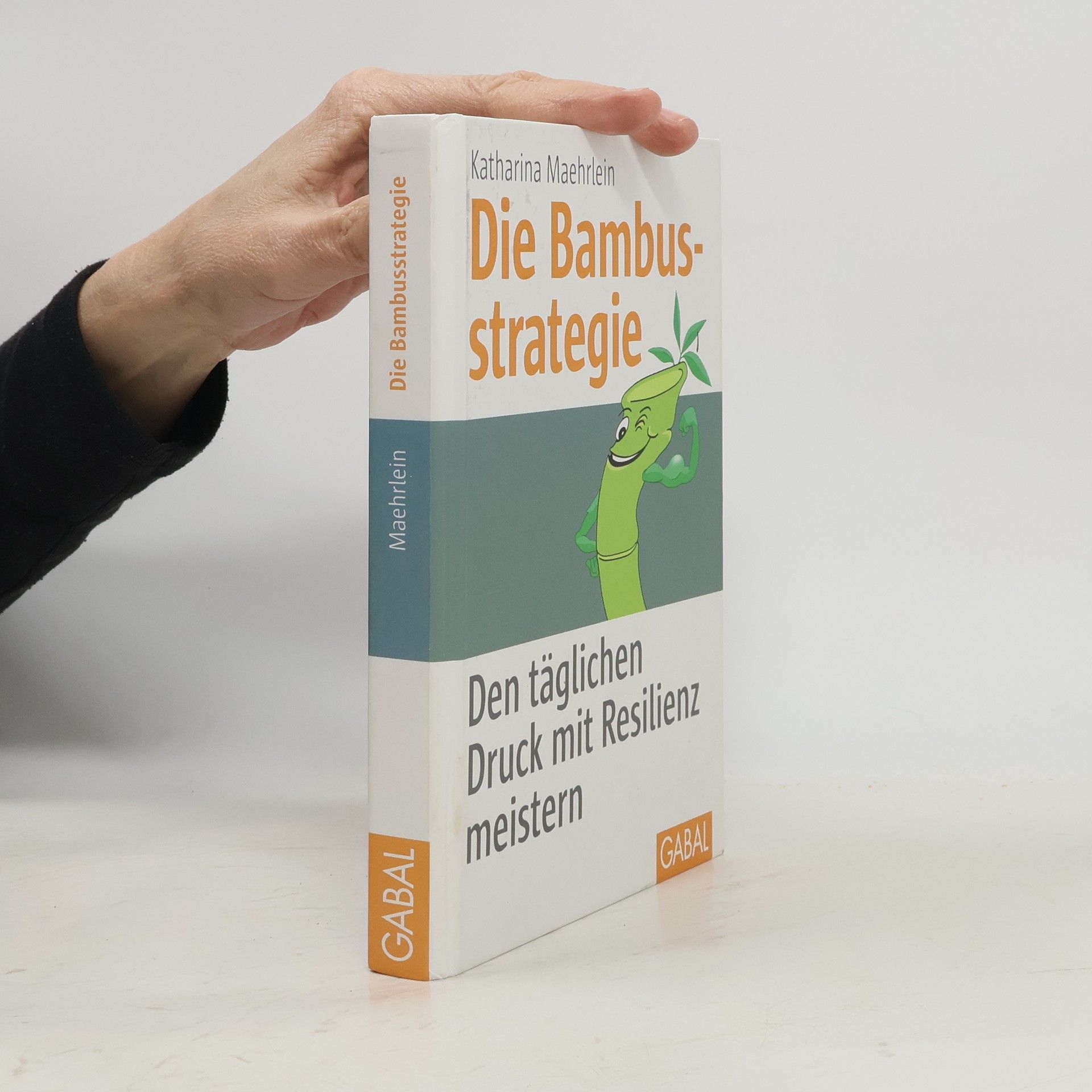 Katharina Maehrlein Die Bambusstrategie