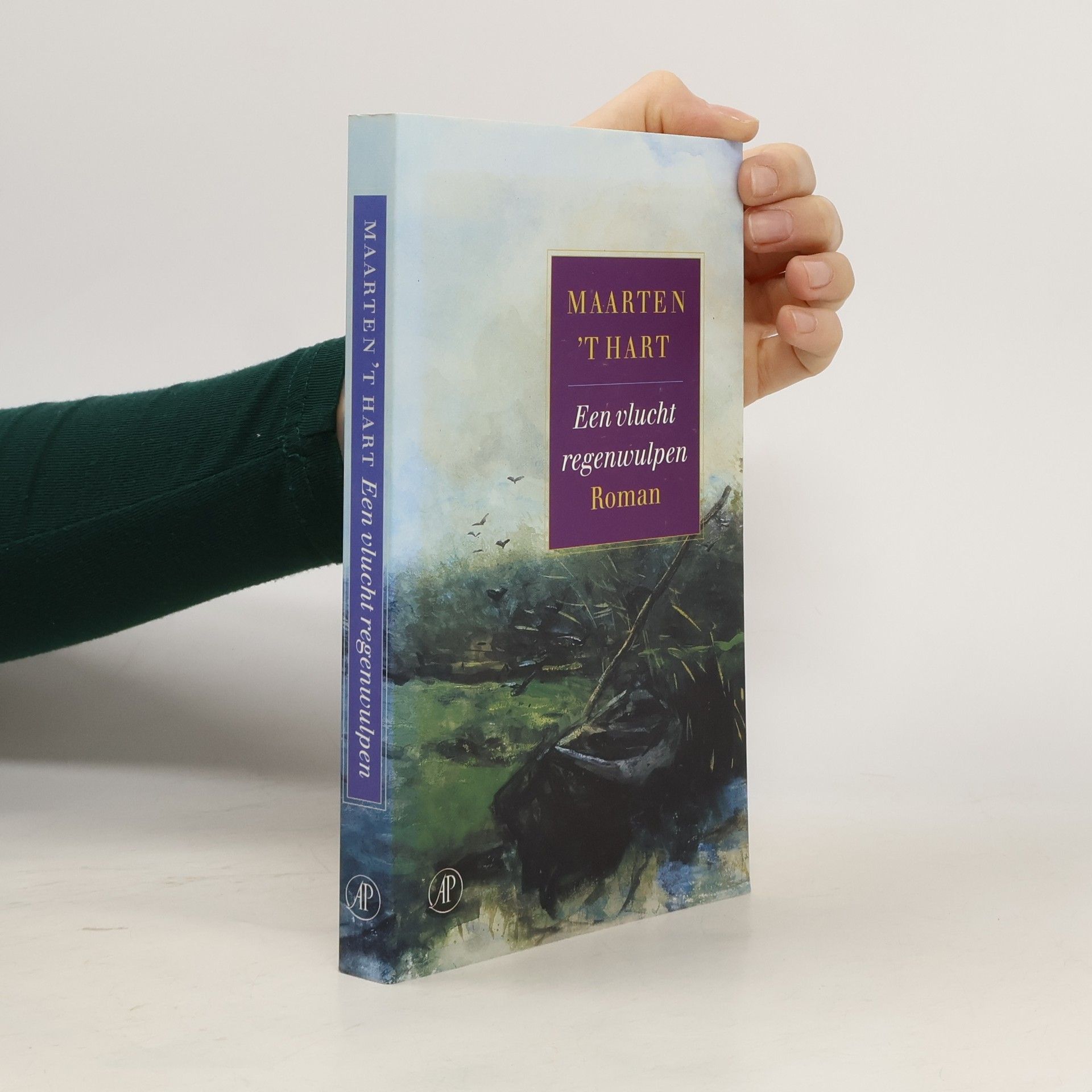 Maarten t. Hart Een vlucht regenwulpen
