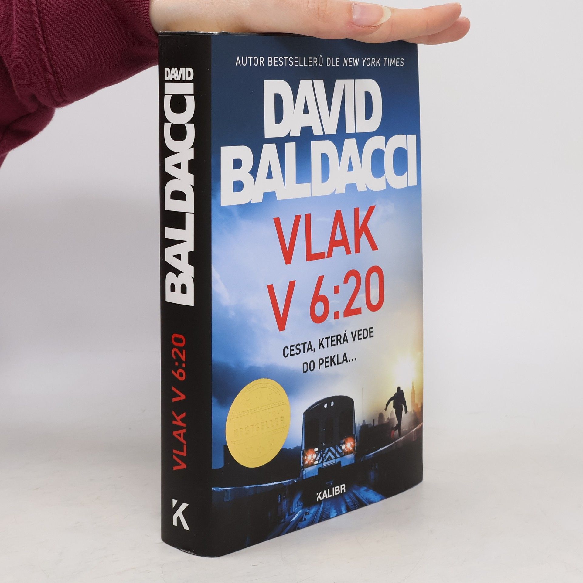 David Baldacci Vlak v 6:20