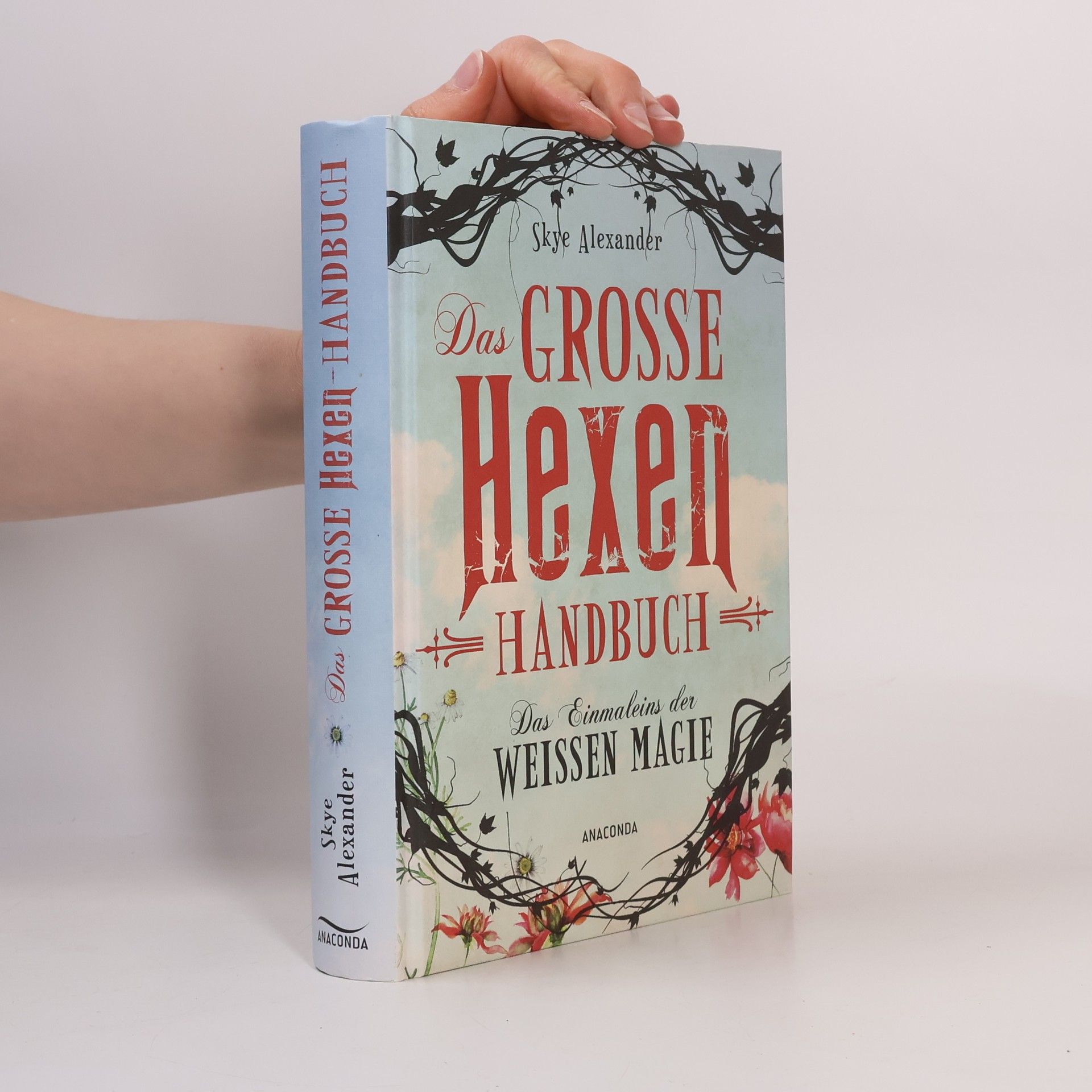 Skye Alexander Das große Hexen-Handbuch