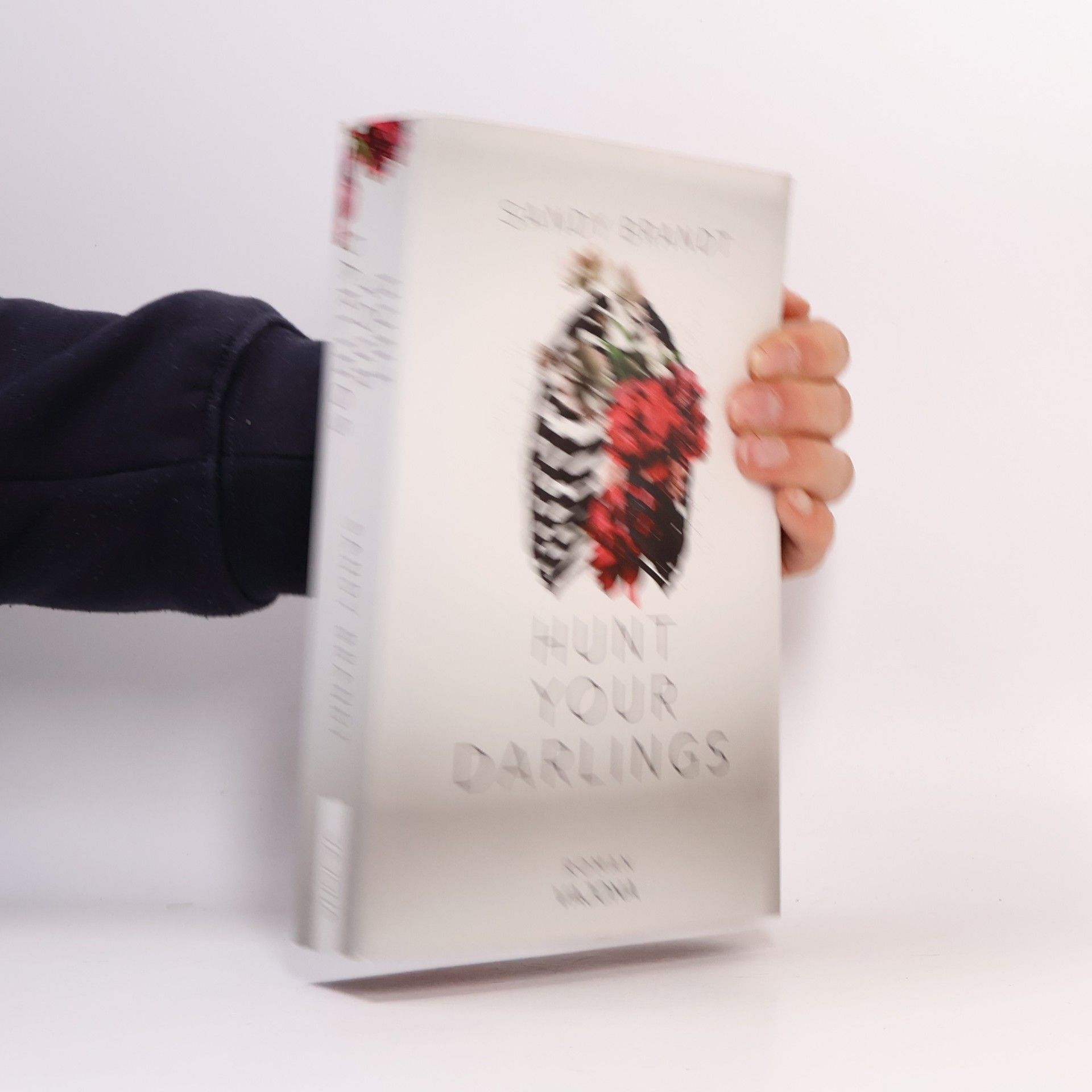 Sandy Brandt Hunt Your Darlings