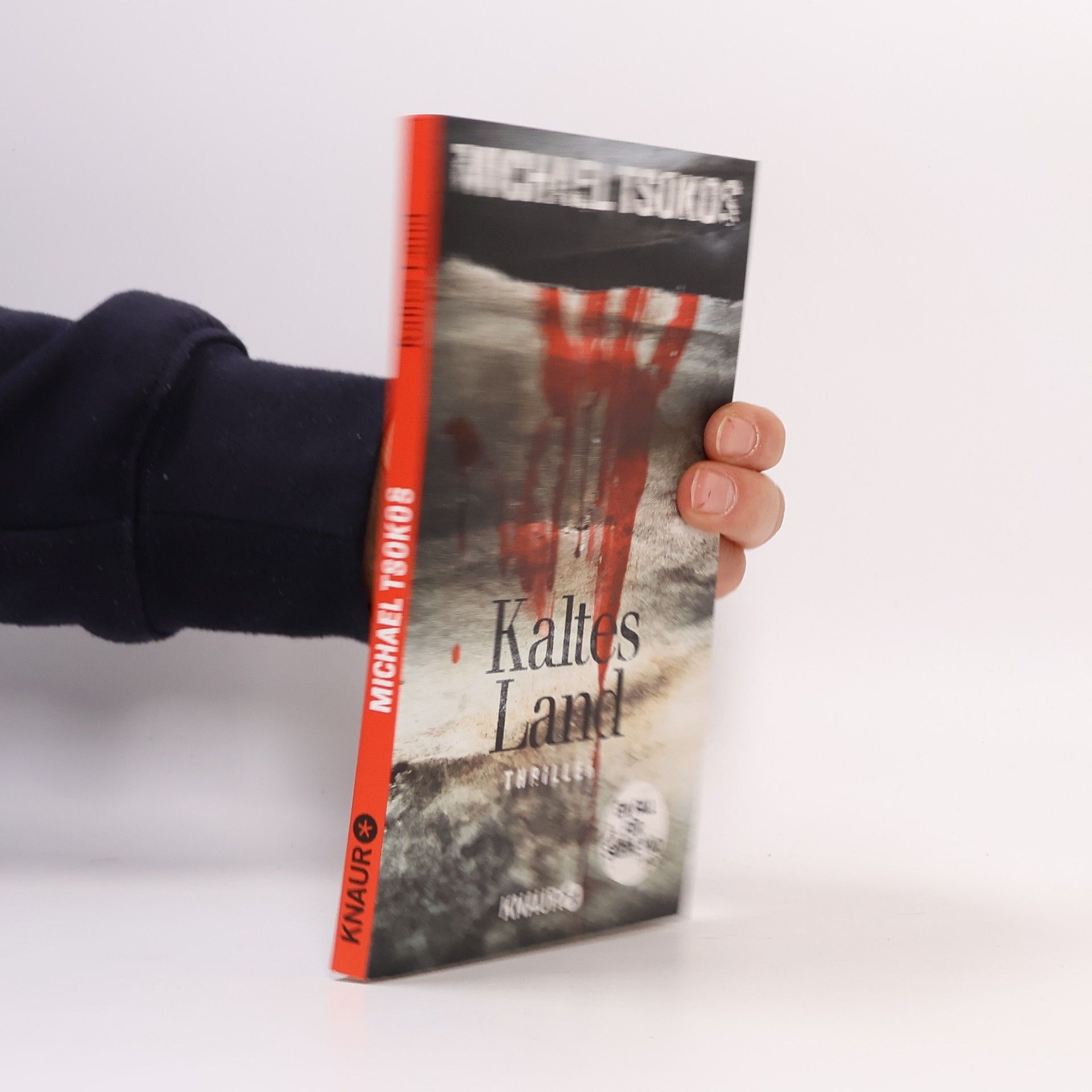 Michael Tsokos Kaltes Land