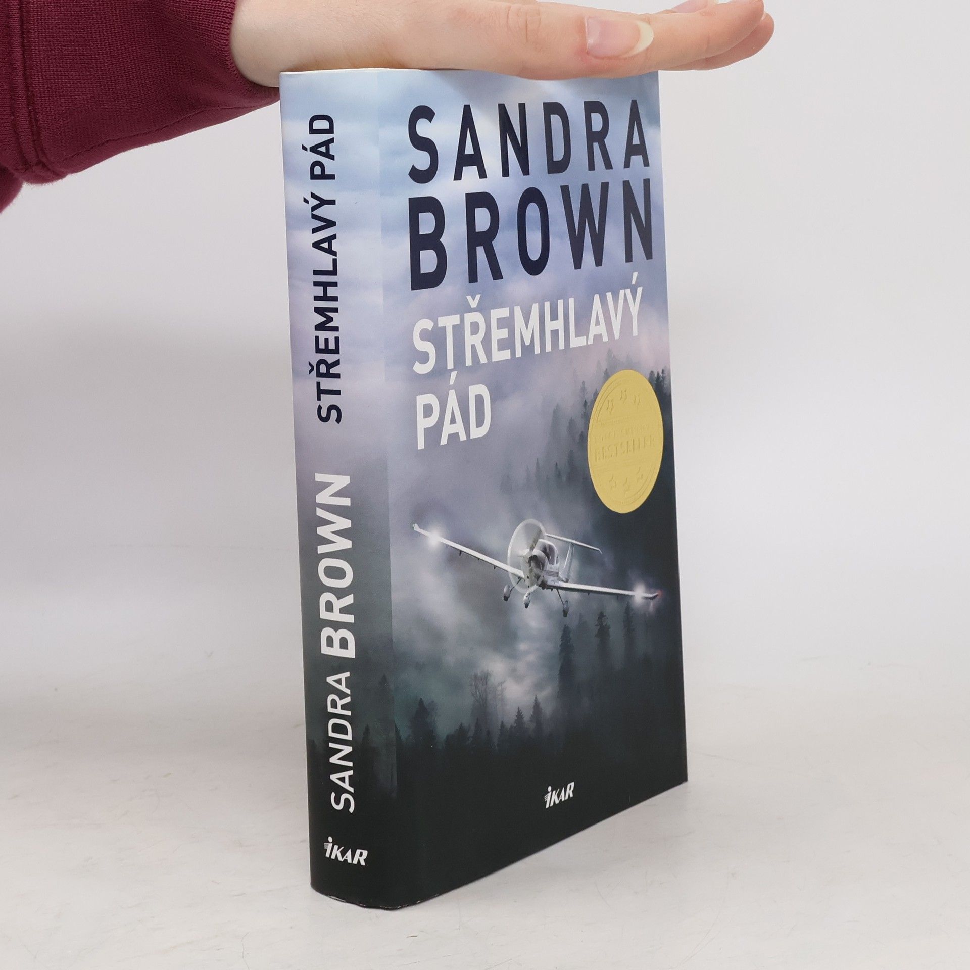 Sandra Brown Střemhlavý pád