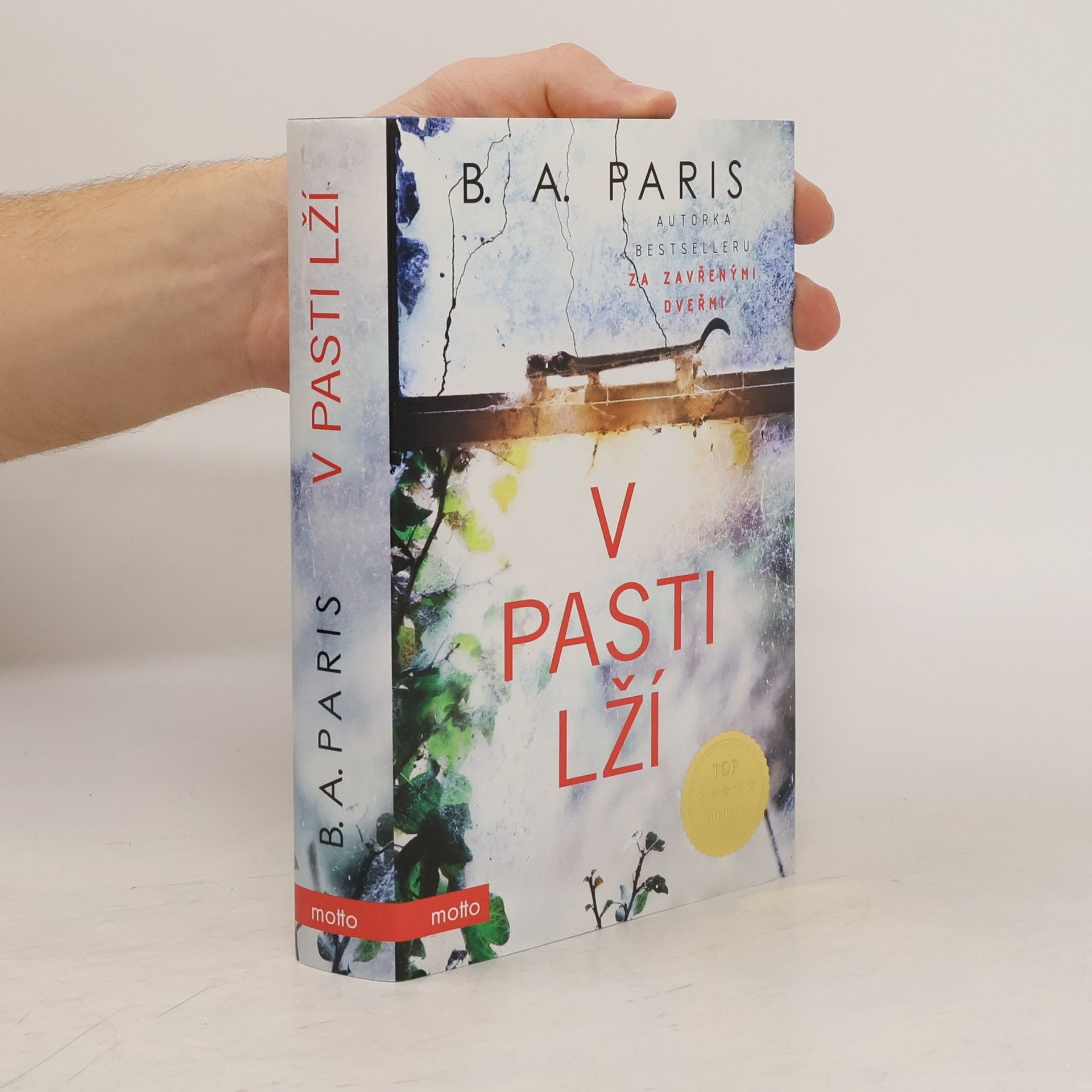 B.A. Paris V pasti lží