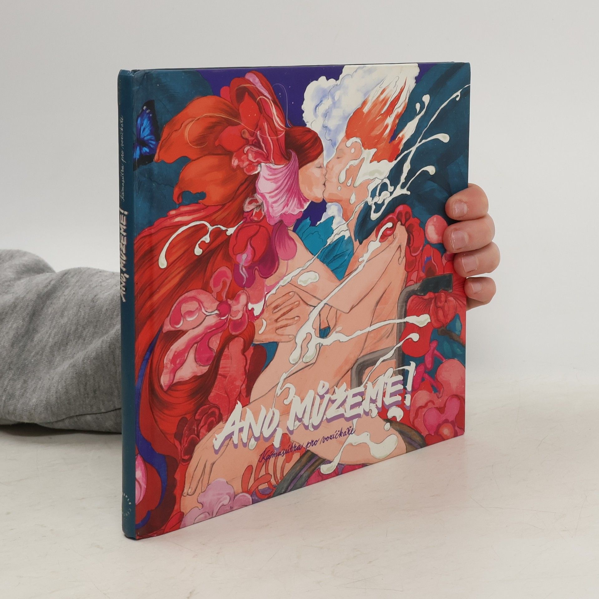 Jiří Kříž Ano, můžeme! - Kámasútra pro vozíčkáře