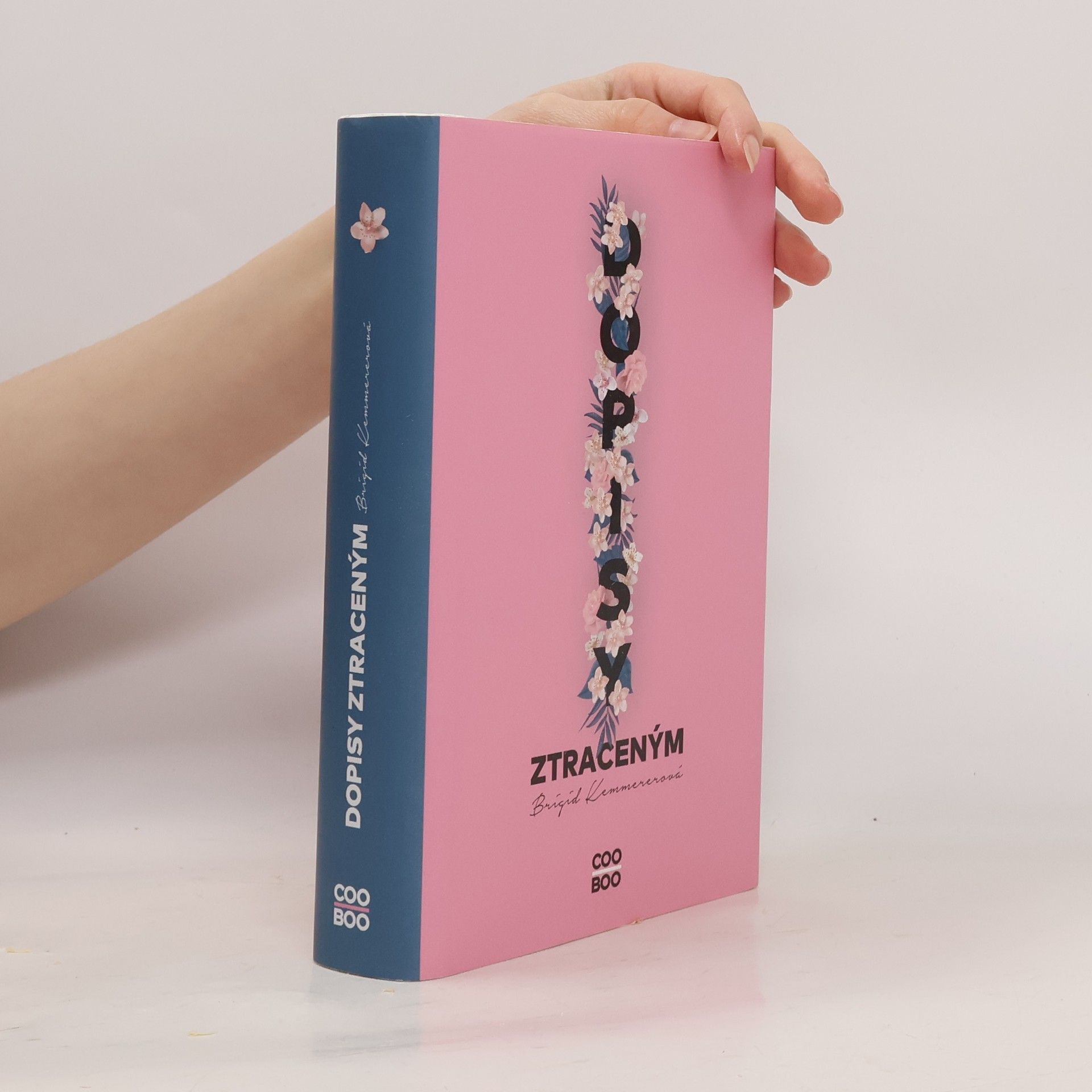 Brigid Kemmerer Dopisy ztraceným