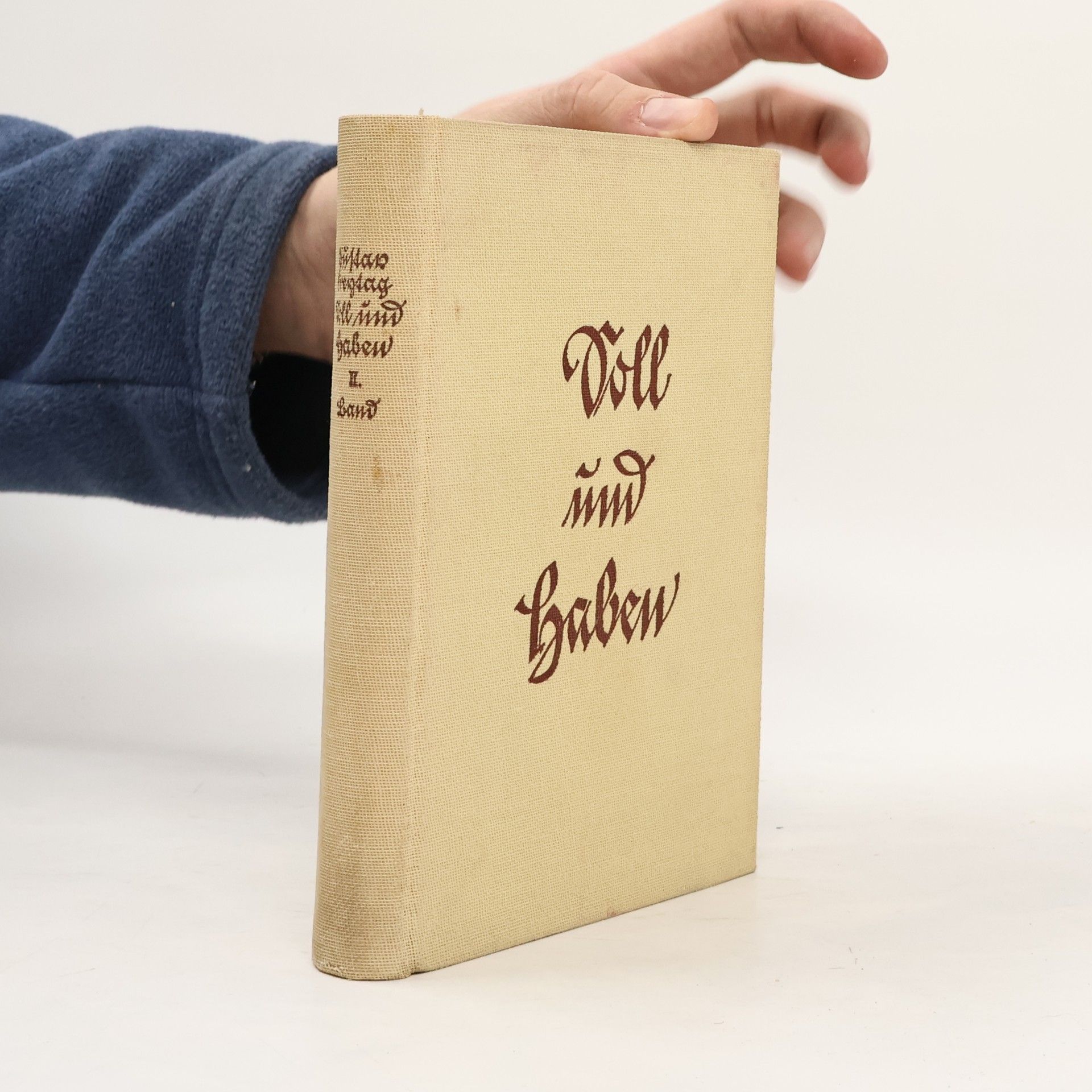 Gustav Freytag Soll und Haben II. Land