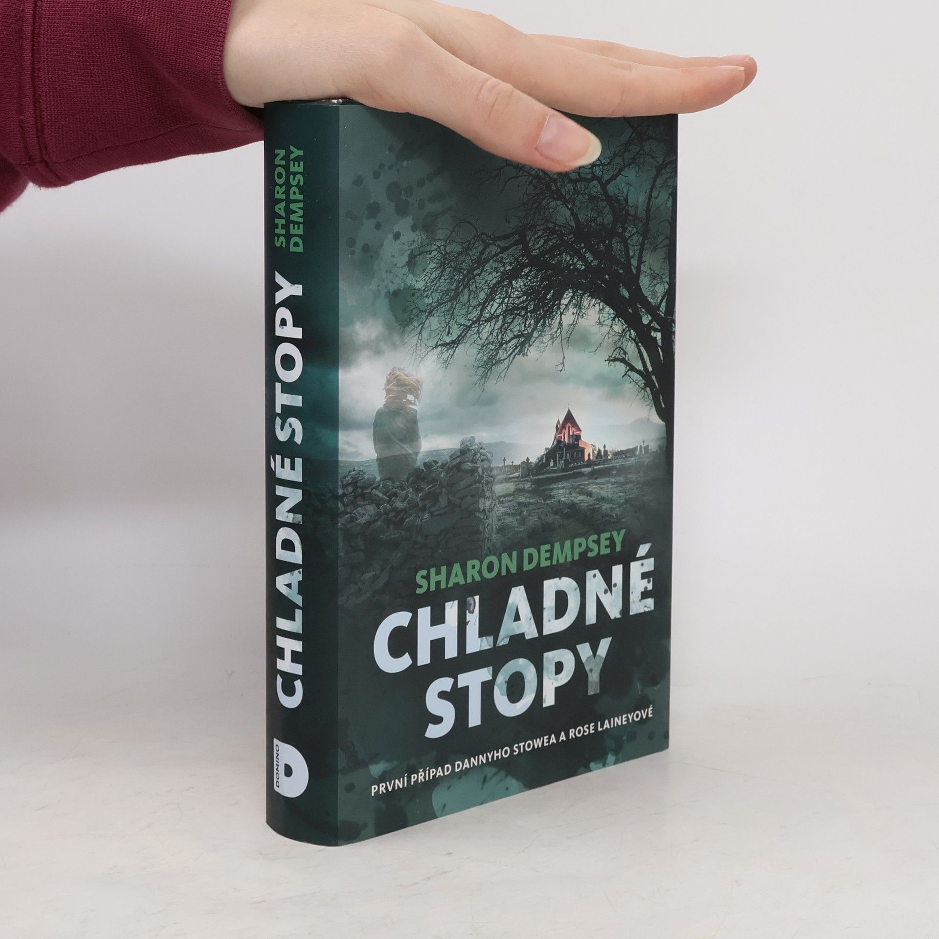 Sharon Dempsey Chladné stopy