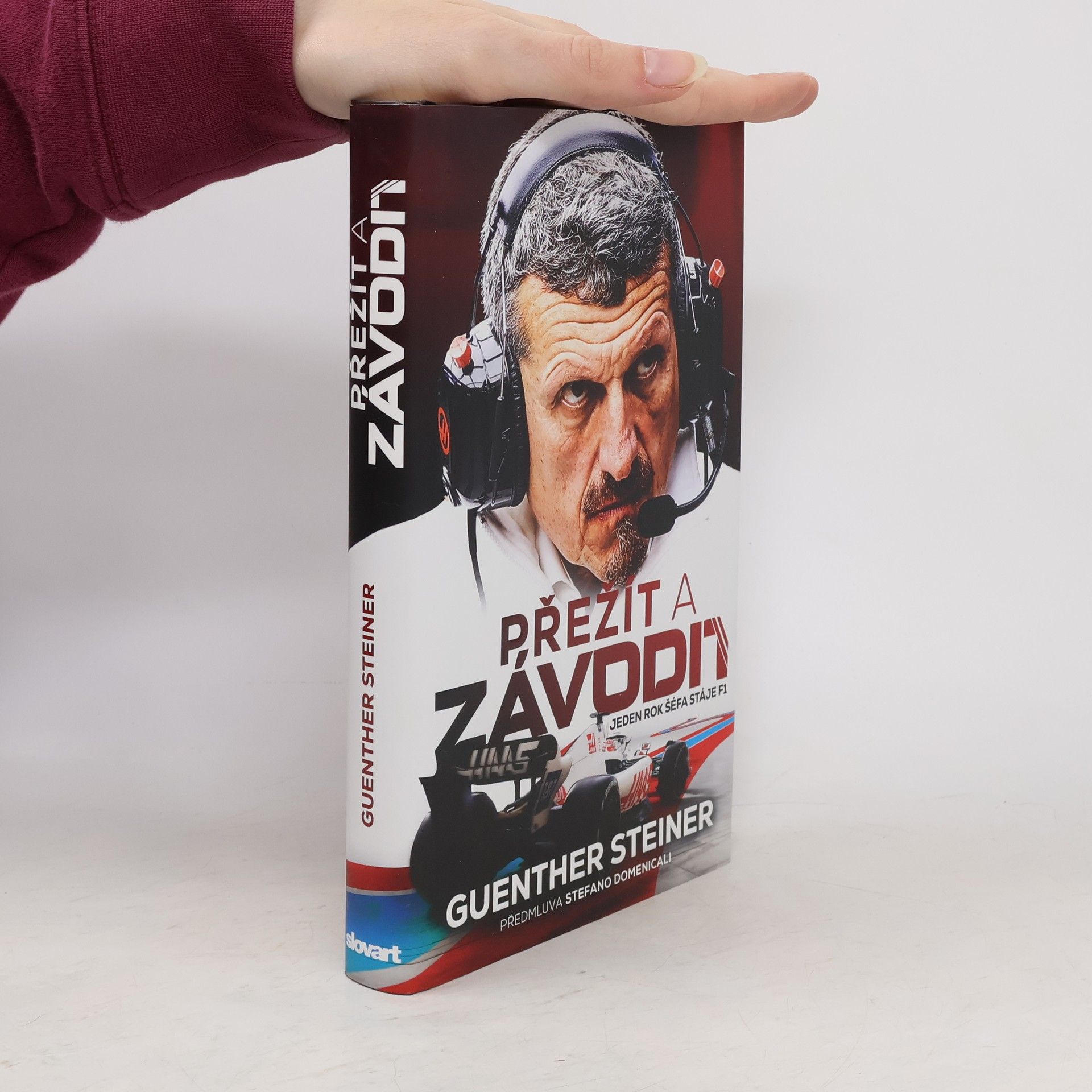 Guenther Steiner Přežít a závodit
