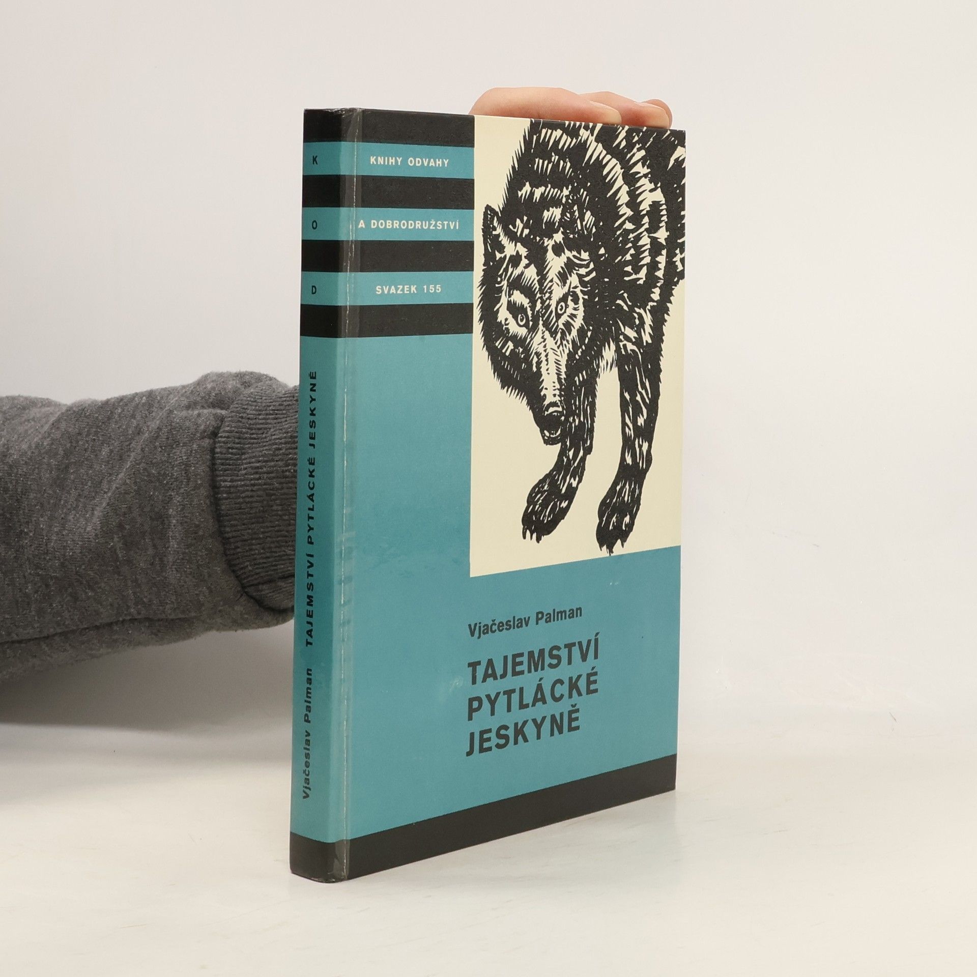 Vjačeslav Palman Tajemství pytlácké jeskyně