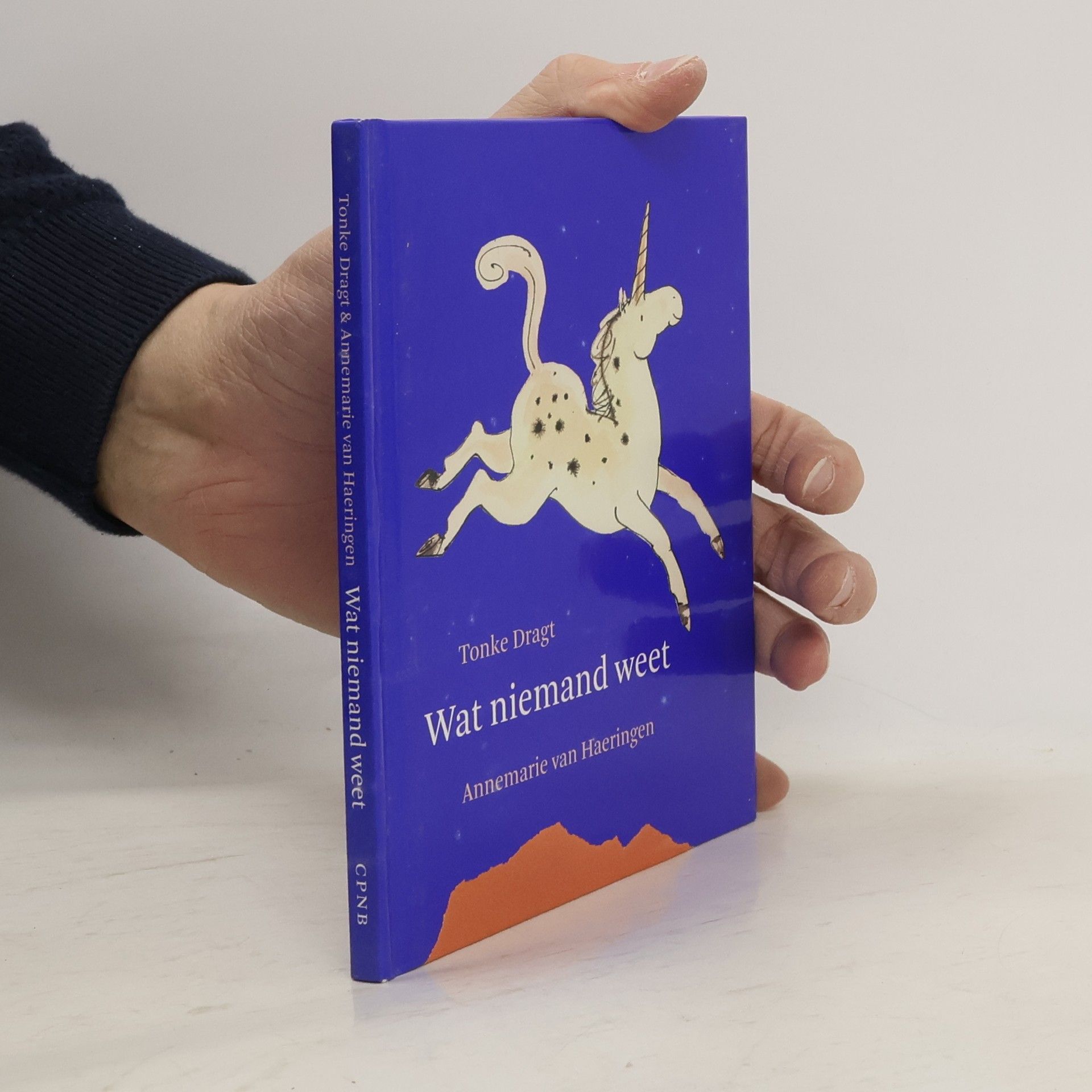 Tonke Dragt Wat niemand weet