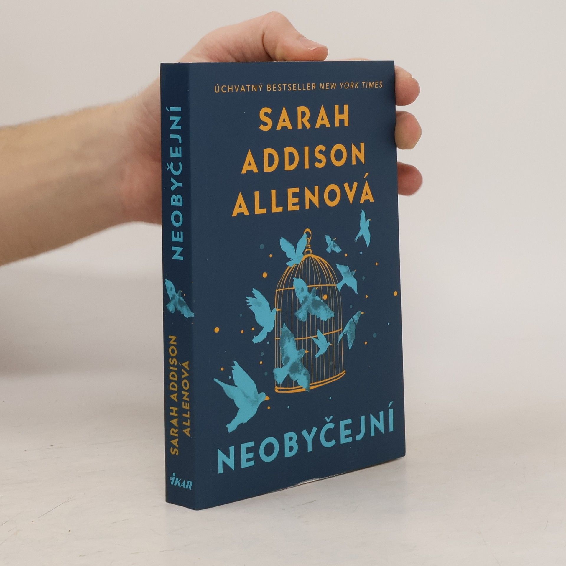 Sarah Addison Allen Neobyčejní