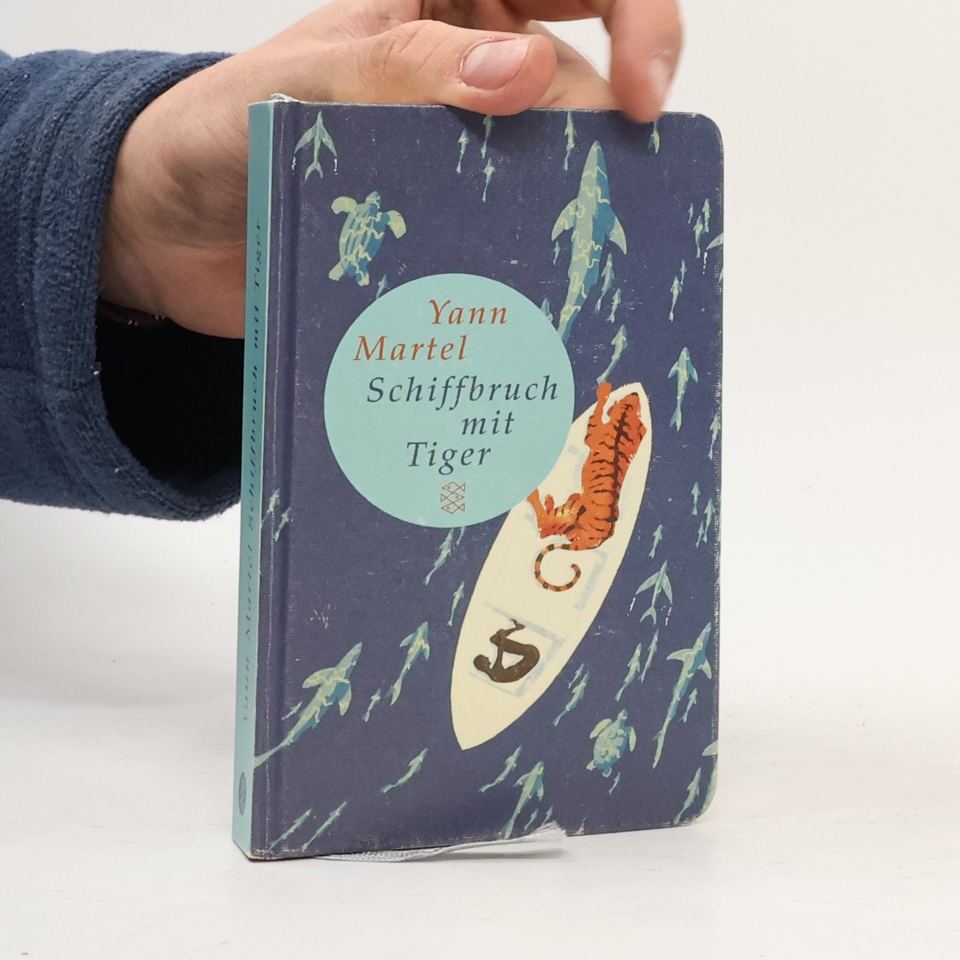 Yann Martel Schiffbruch mit Tiger