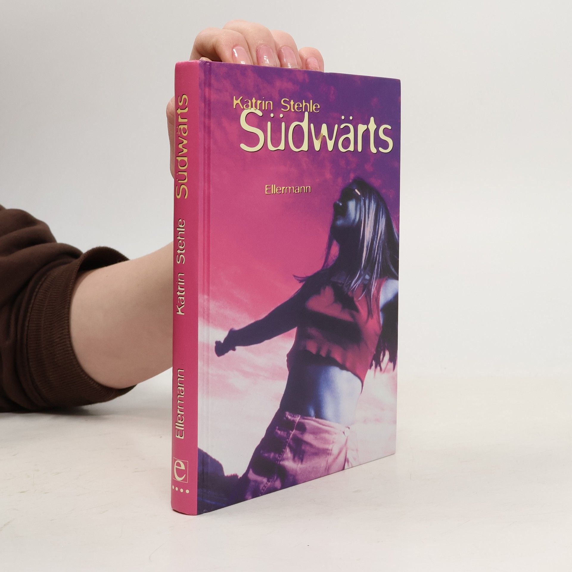 Karin Stehle Südwärts