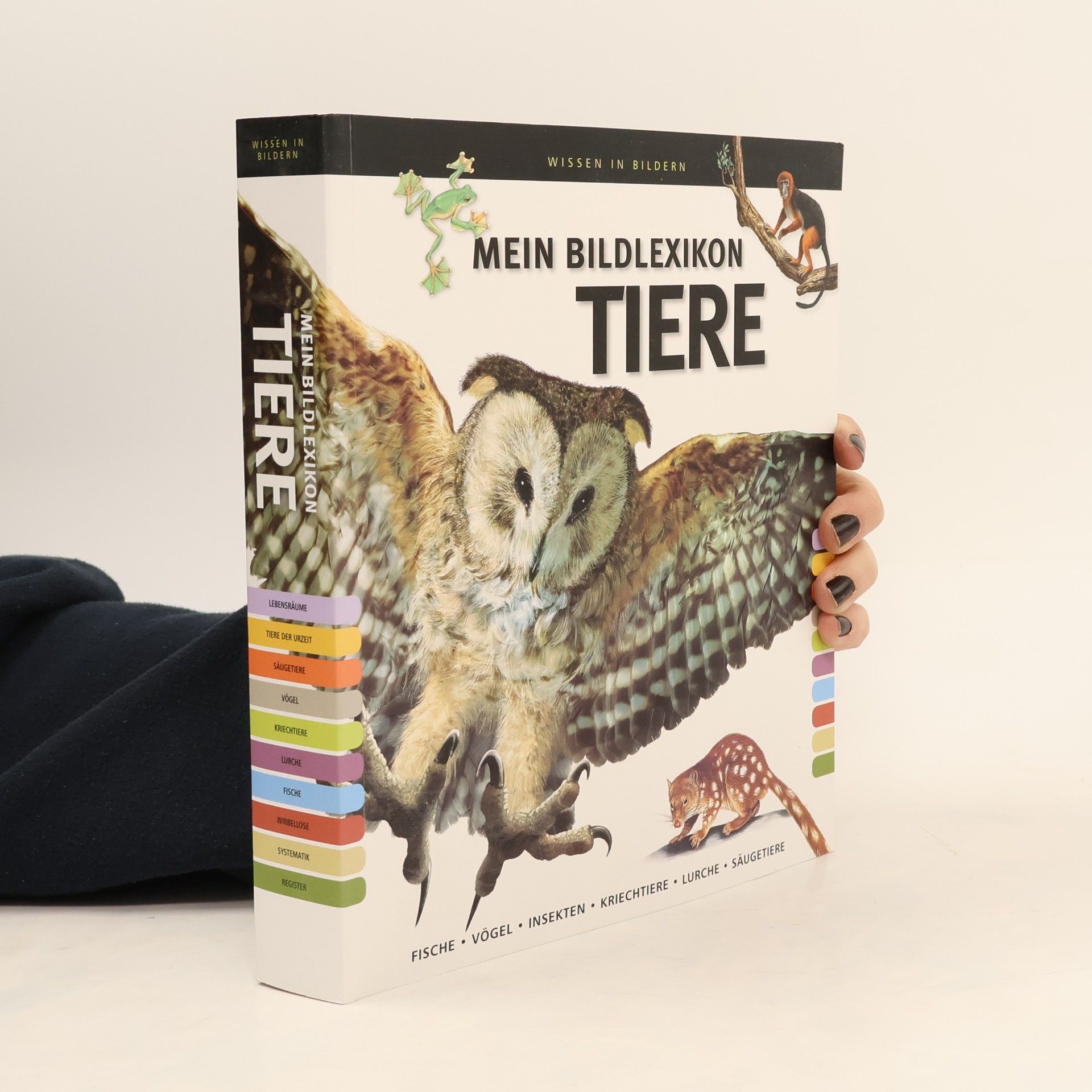 Kolektív autorov Mein Bildlexikon Tiere