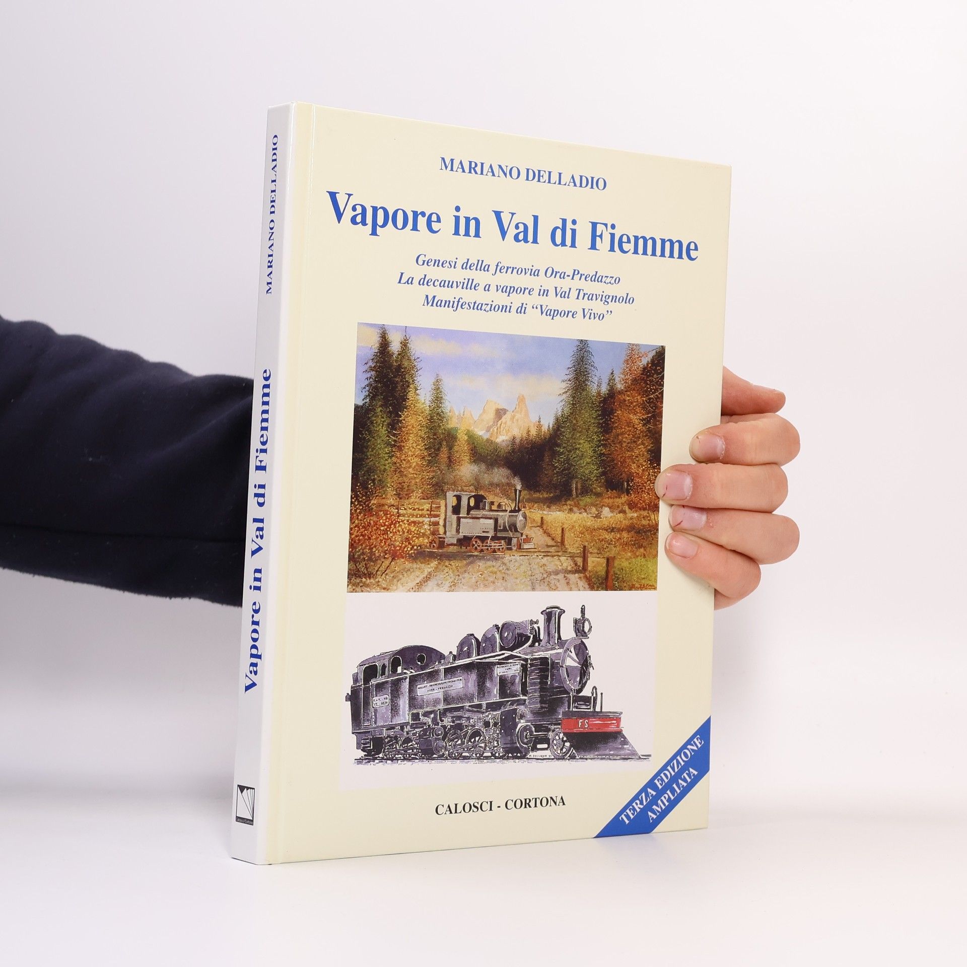 Mariano Delladio Storia dei trasporti pubblici: Vapore in Val di Fiemme